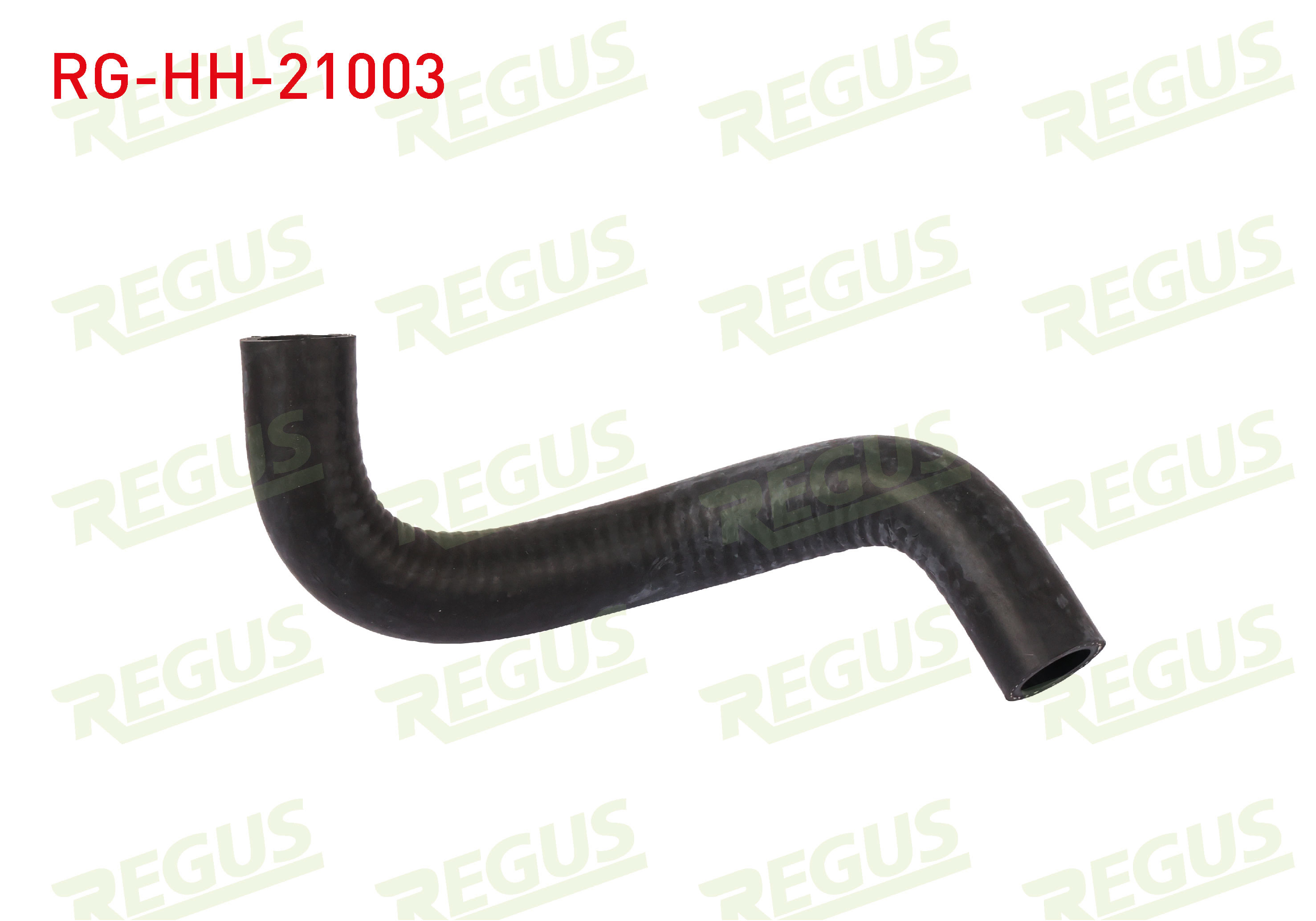 REGUS 22608