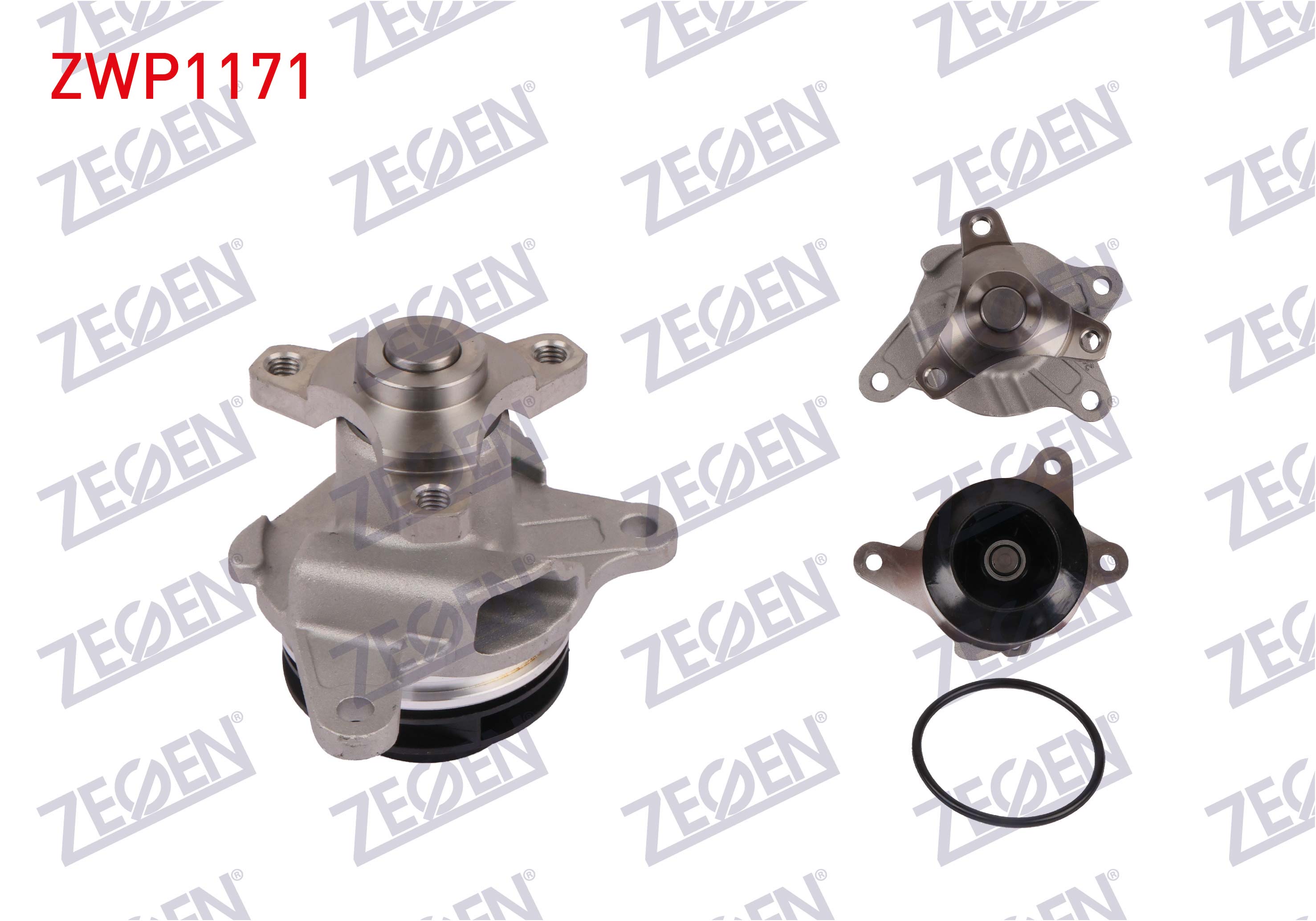 ZEGEN 986905