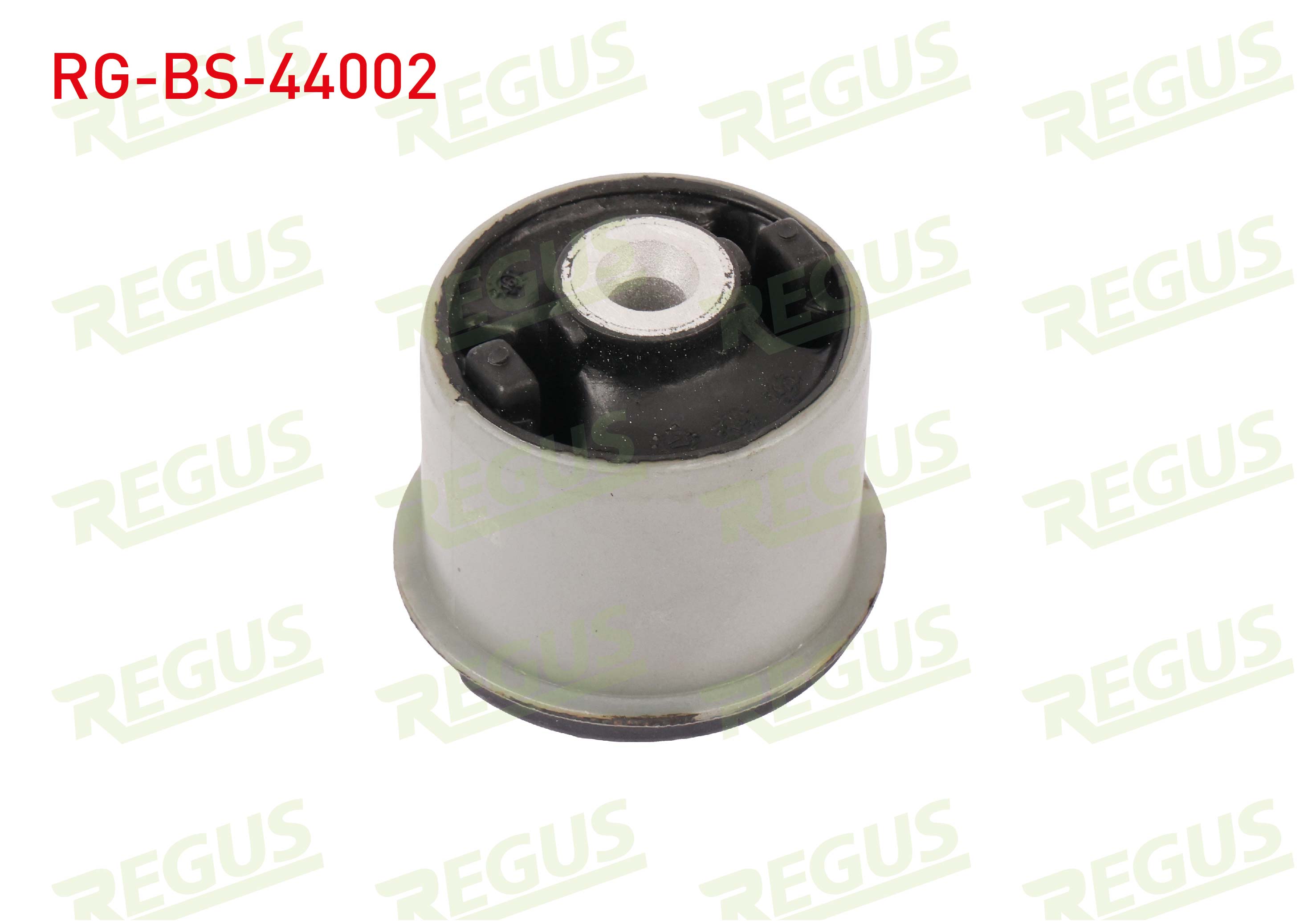 REGUS 09047