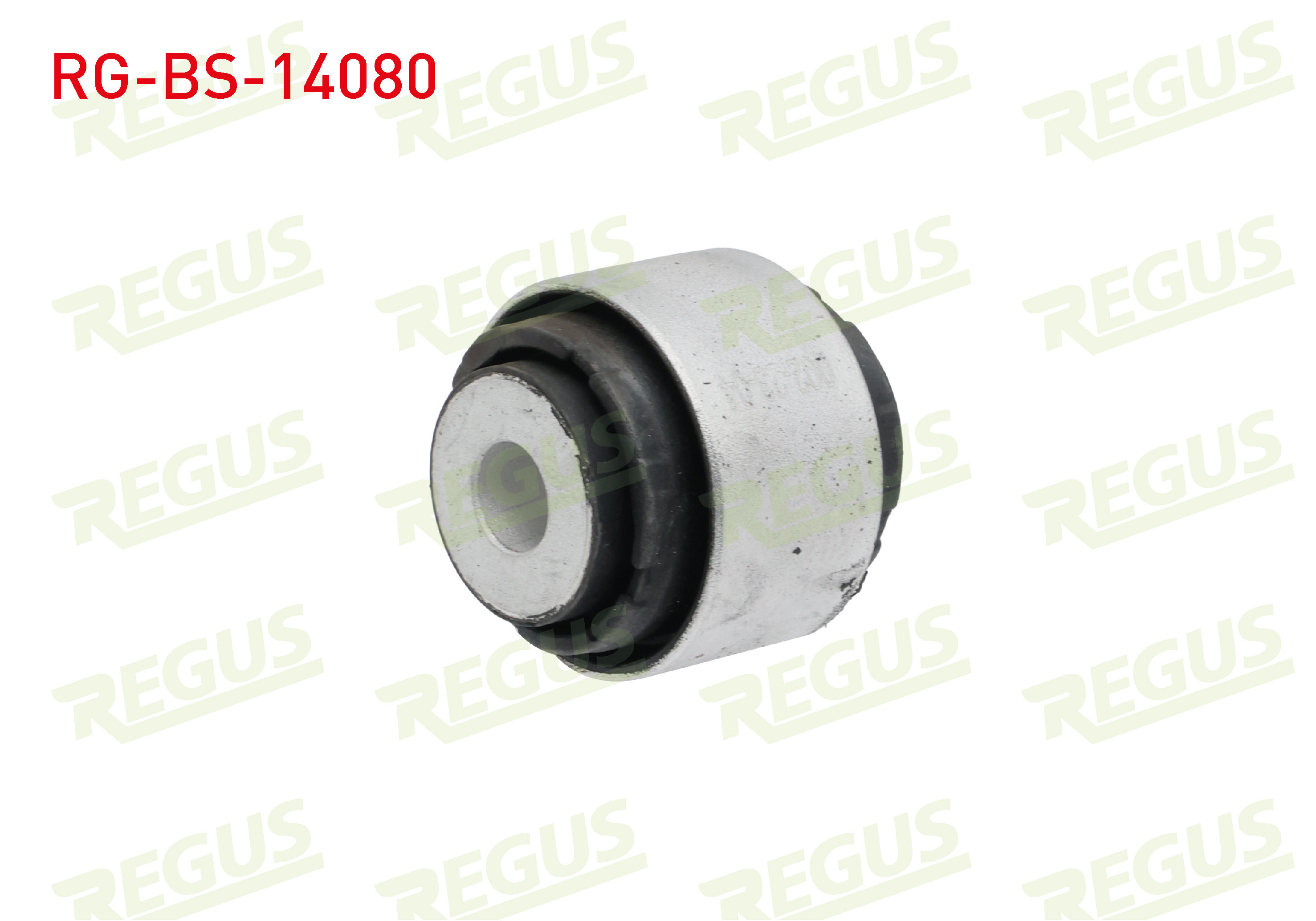 REGUS 57-08663