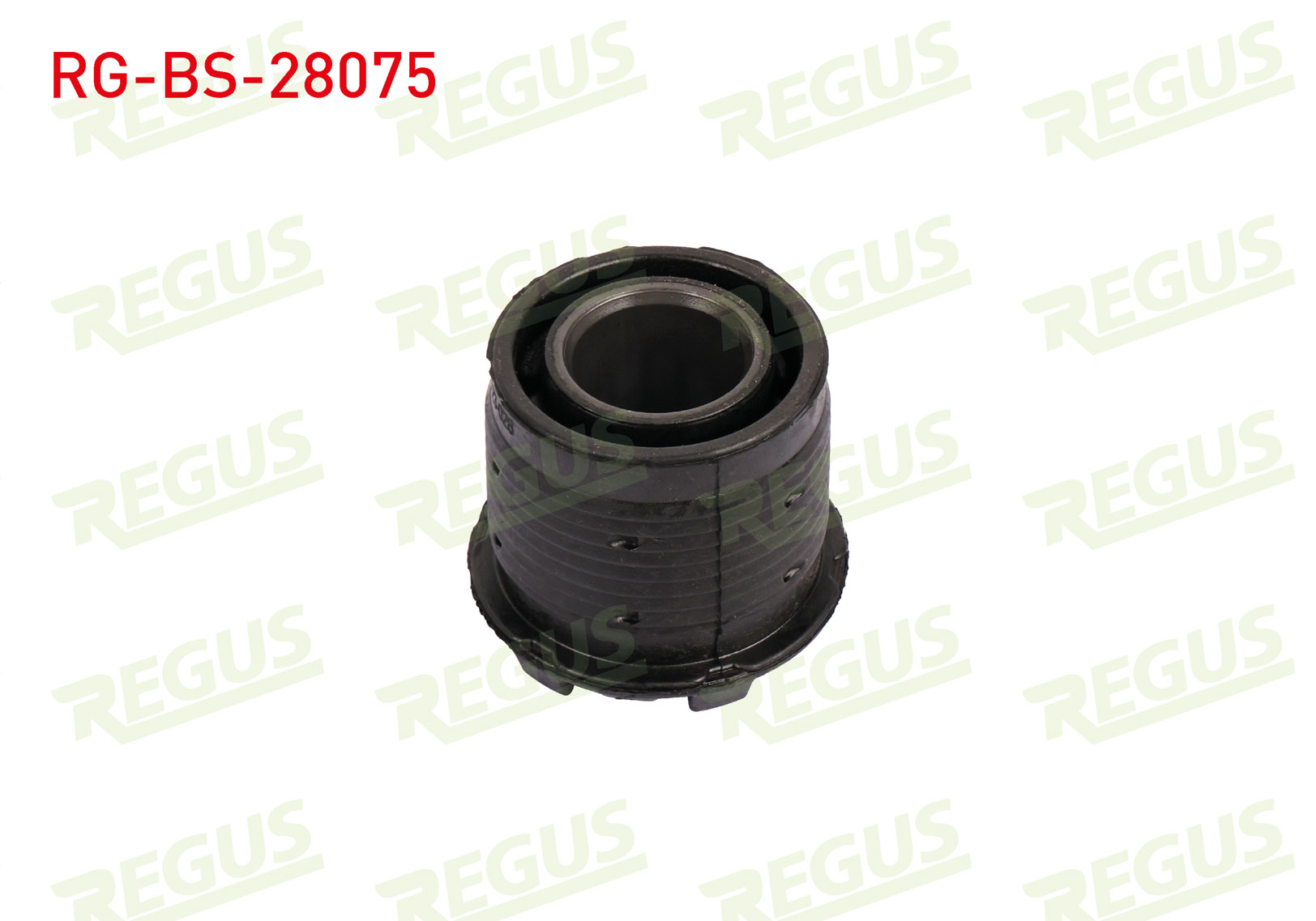 REGUS 10300