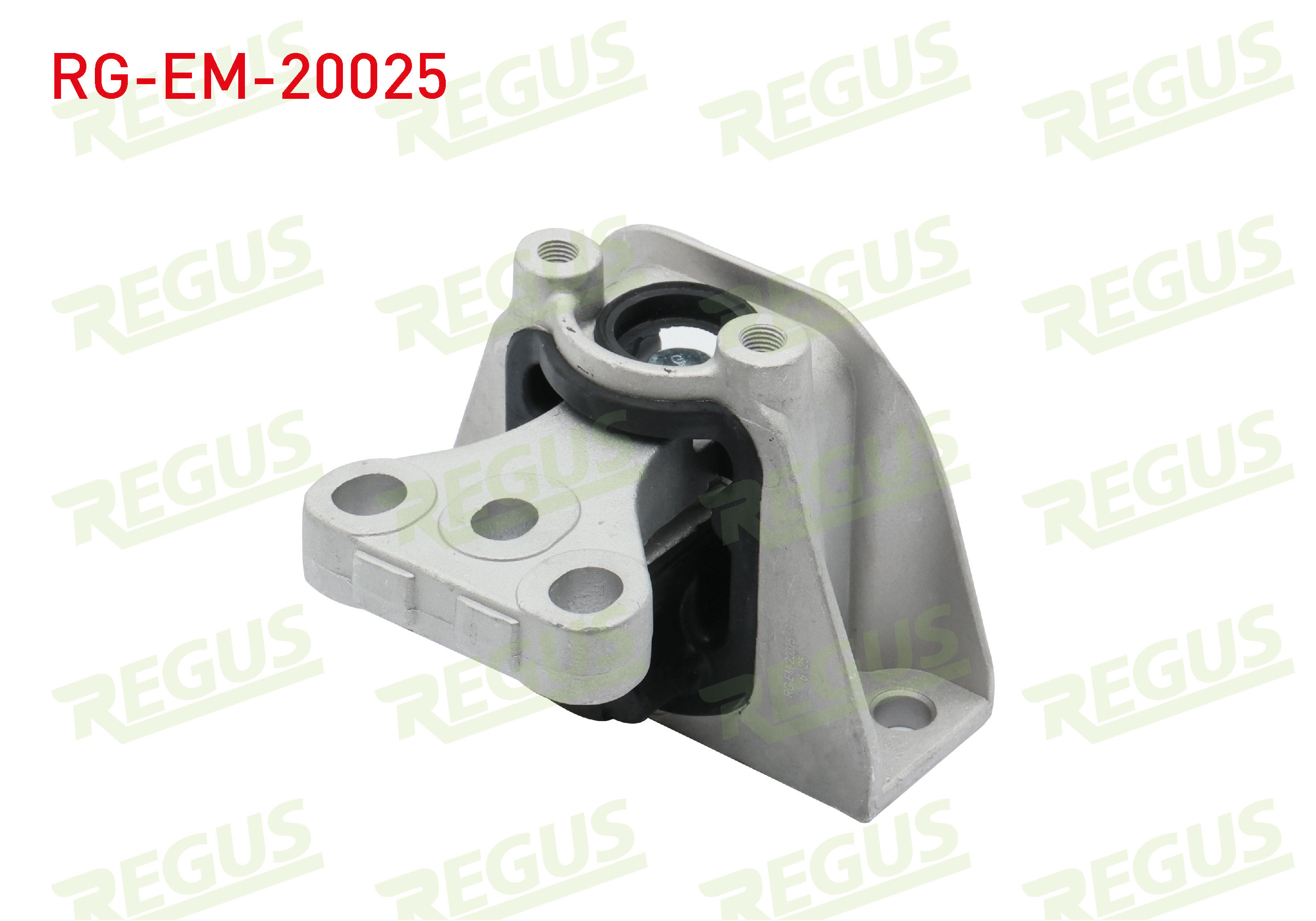 REGUS 61-13813