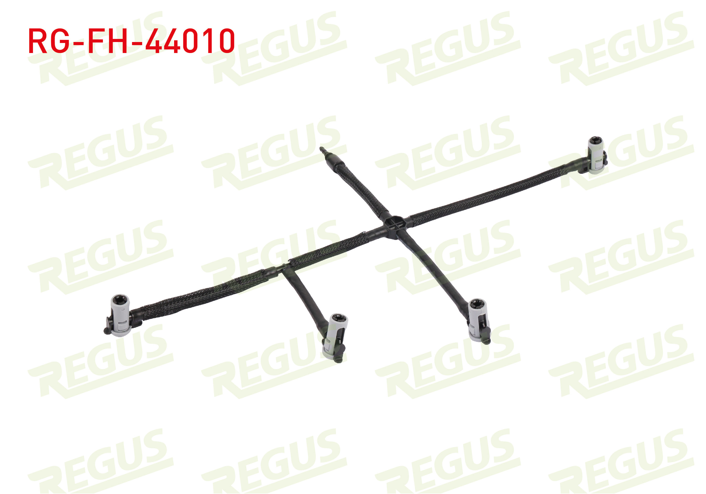 REGUS 