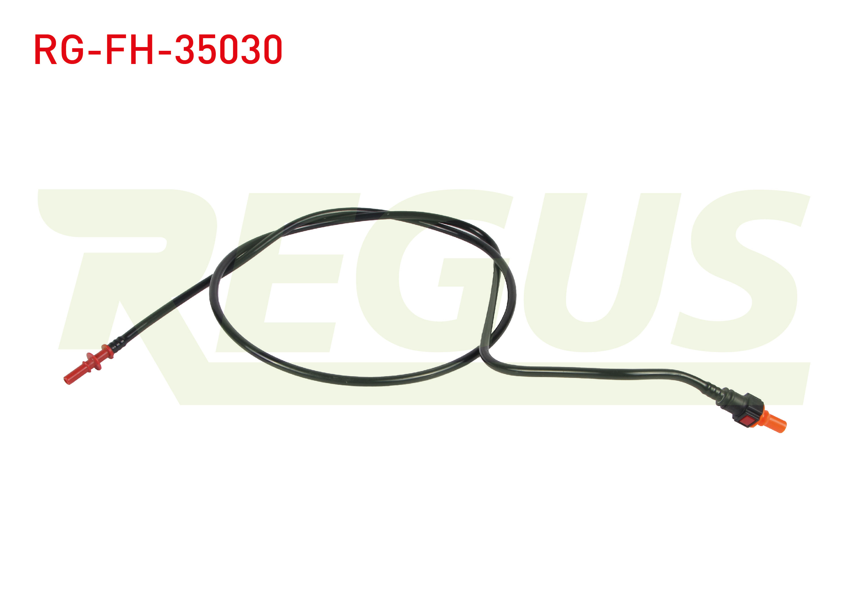 REGUS 