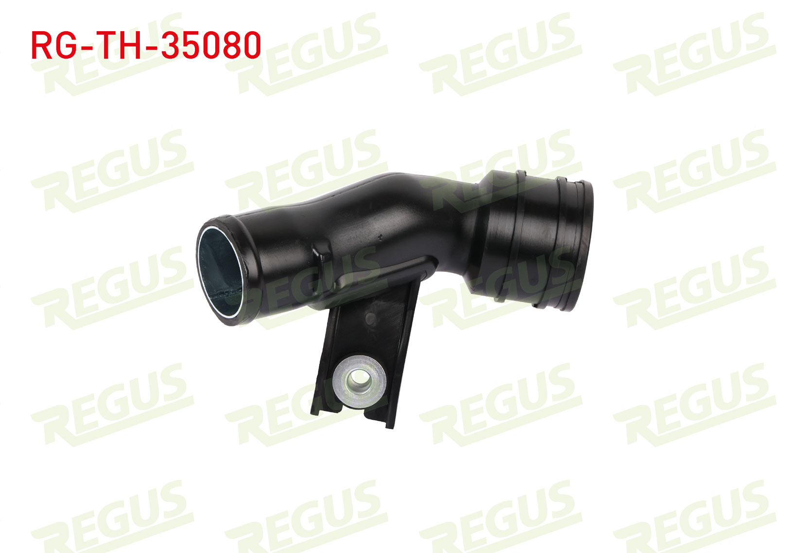 REGUS 