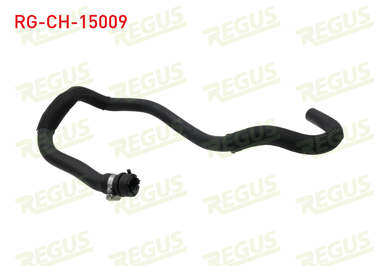 REGUS 17290