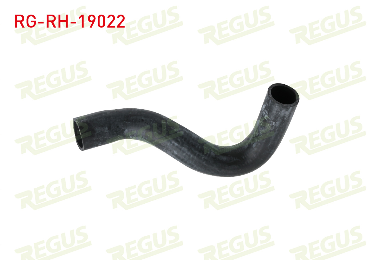 REGUS 19602