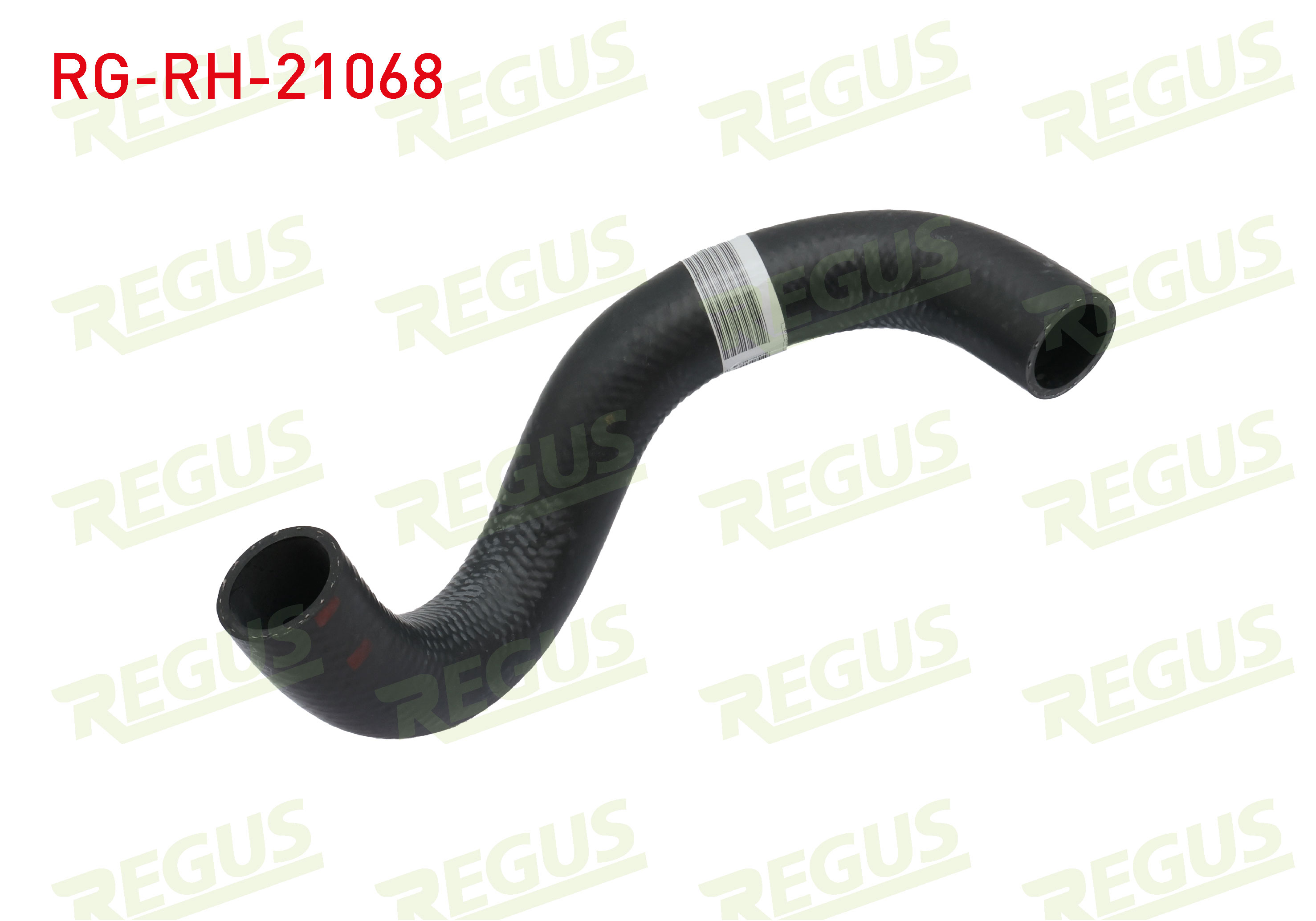 REGUS 