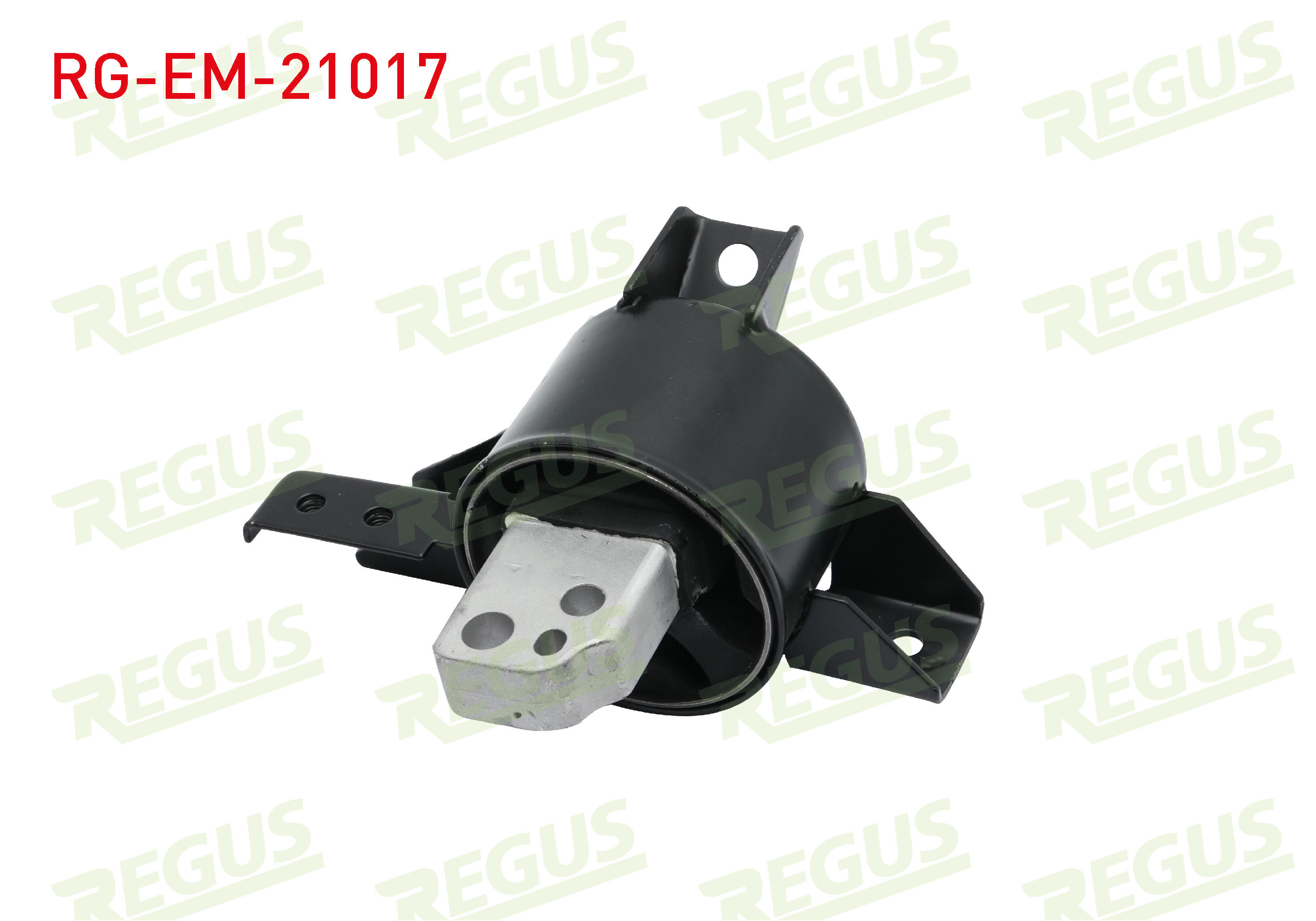 REGUS 2706345