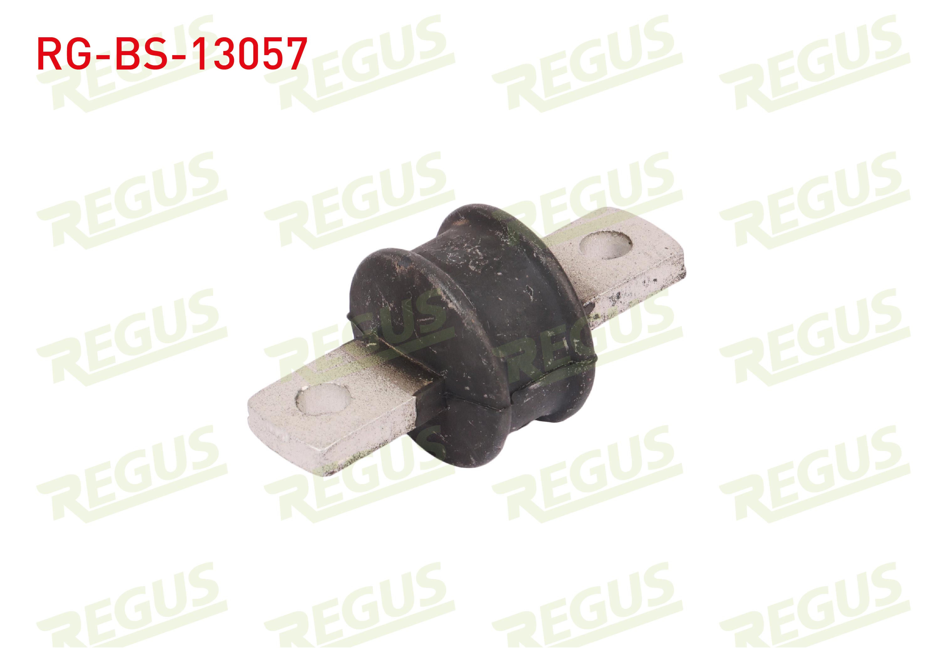 REGUS 65-06071