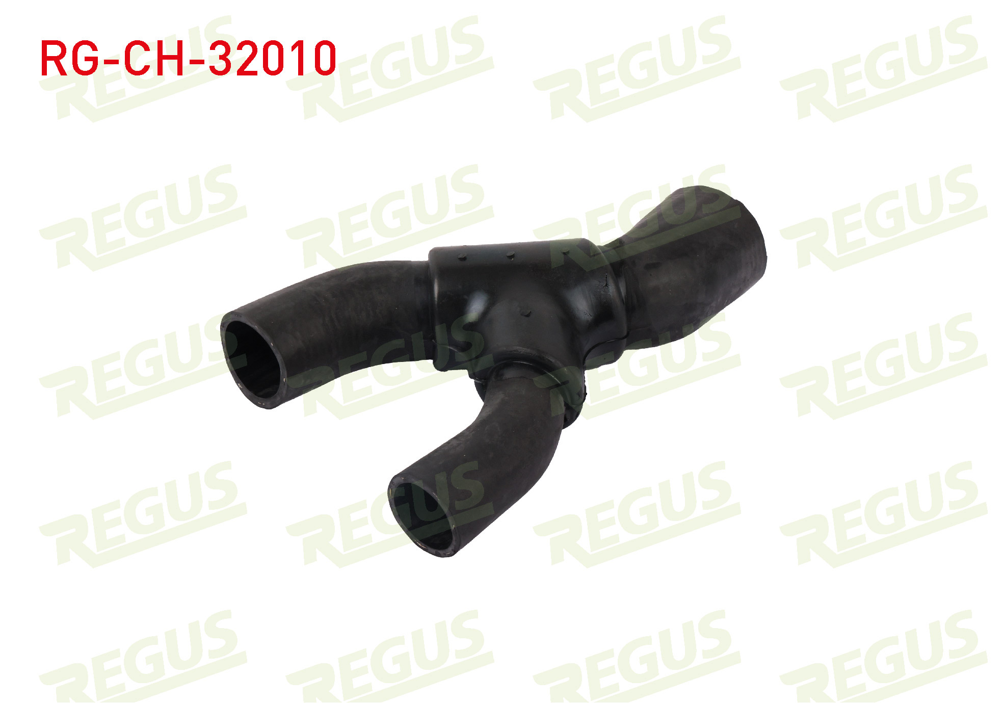 REGUS 21423
