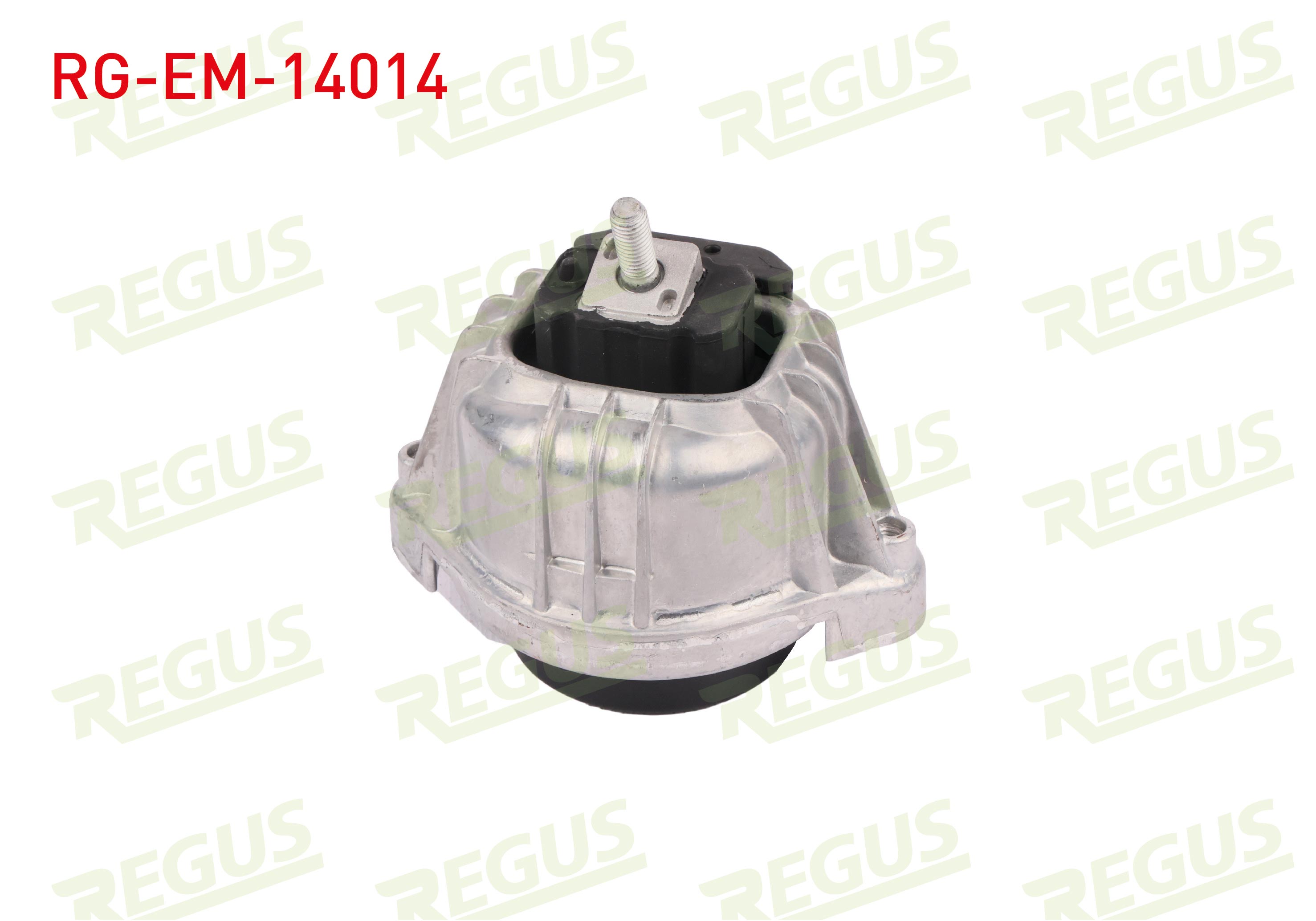 REGUS 31016