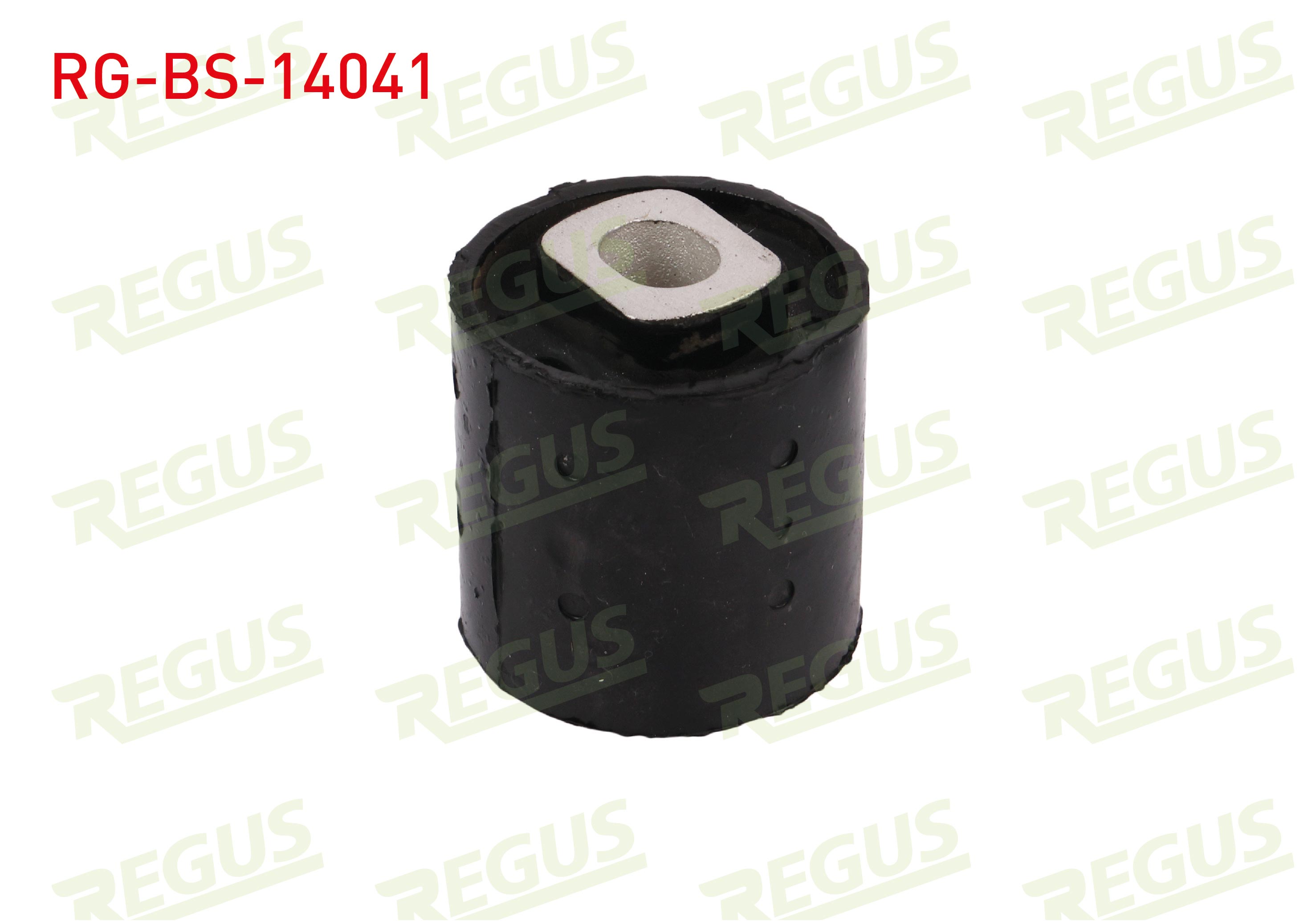 REGUS SB 381