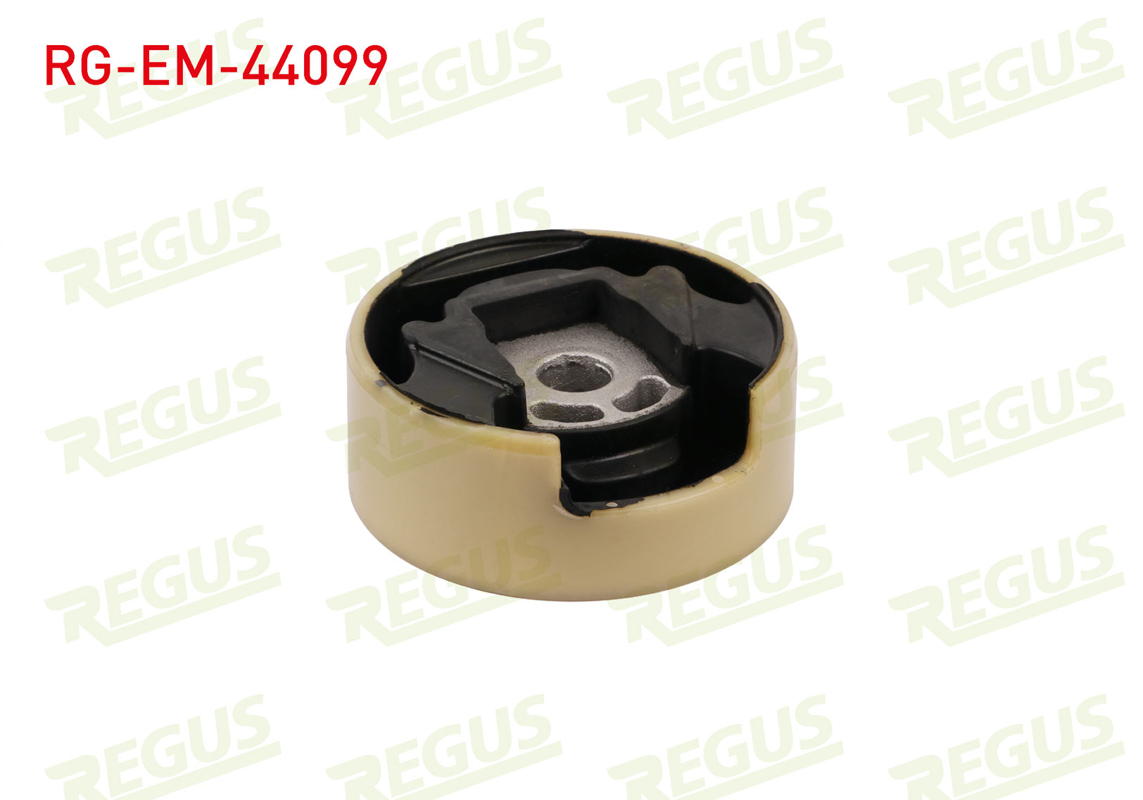 REGUS 