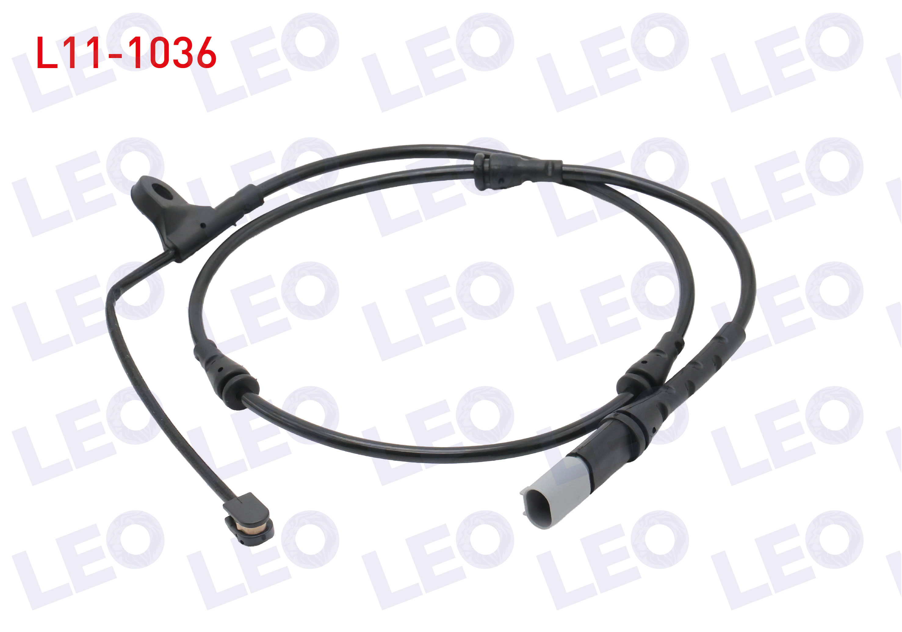 LEO 