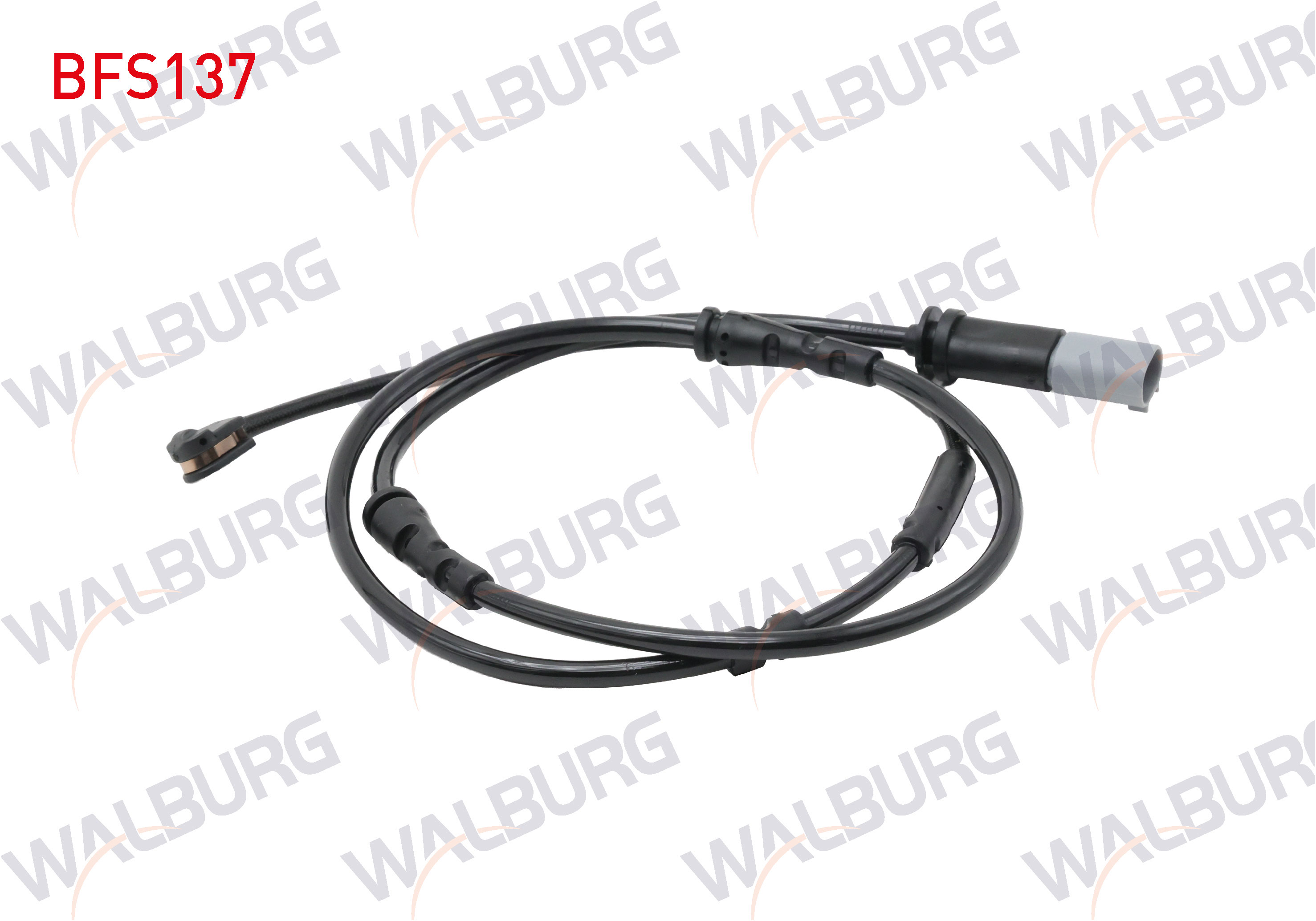 WALBURG SU.375