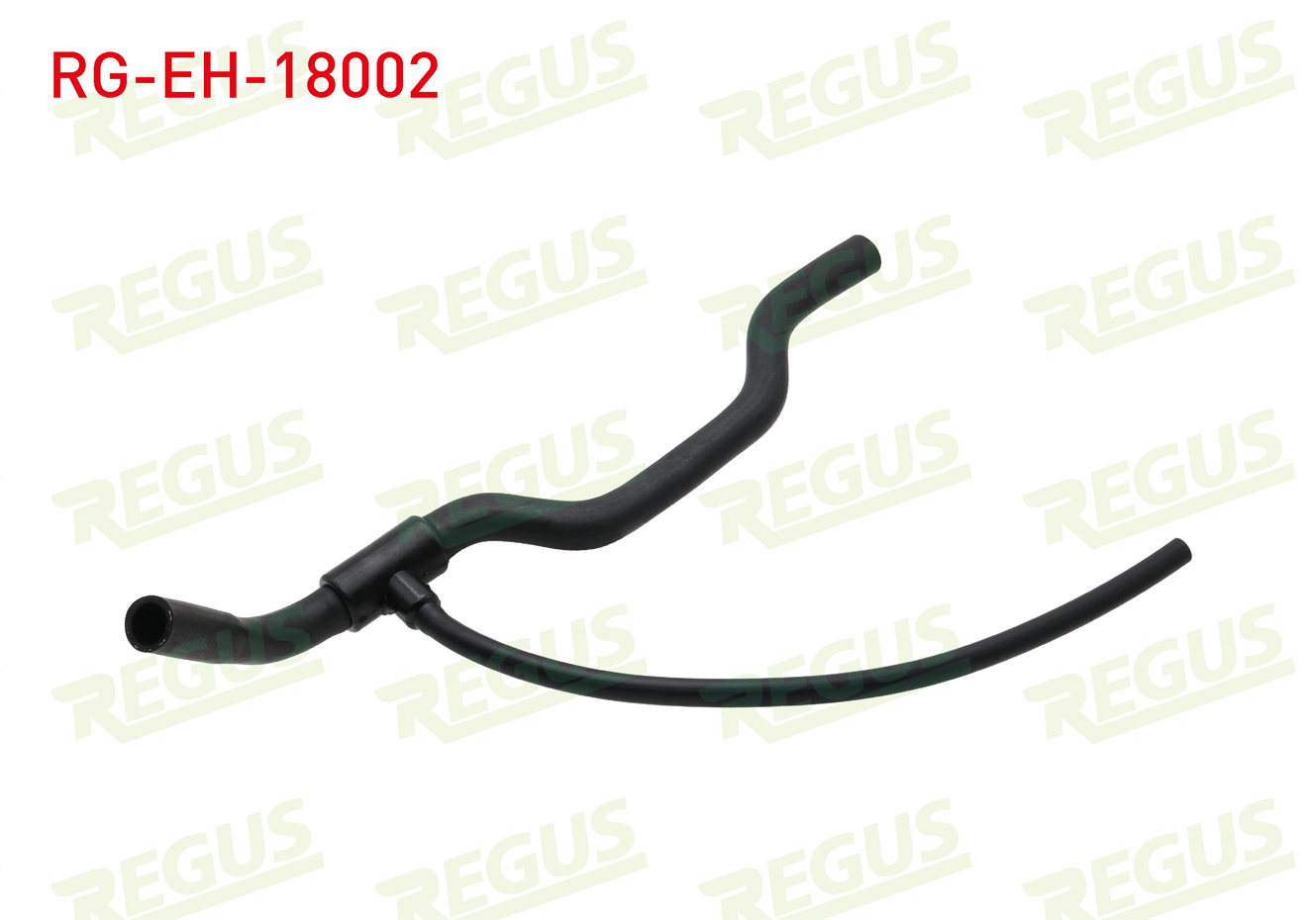 REGUS 14206