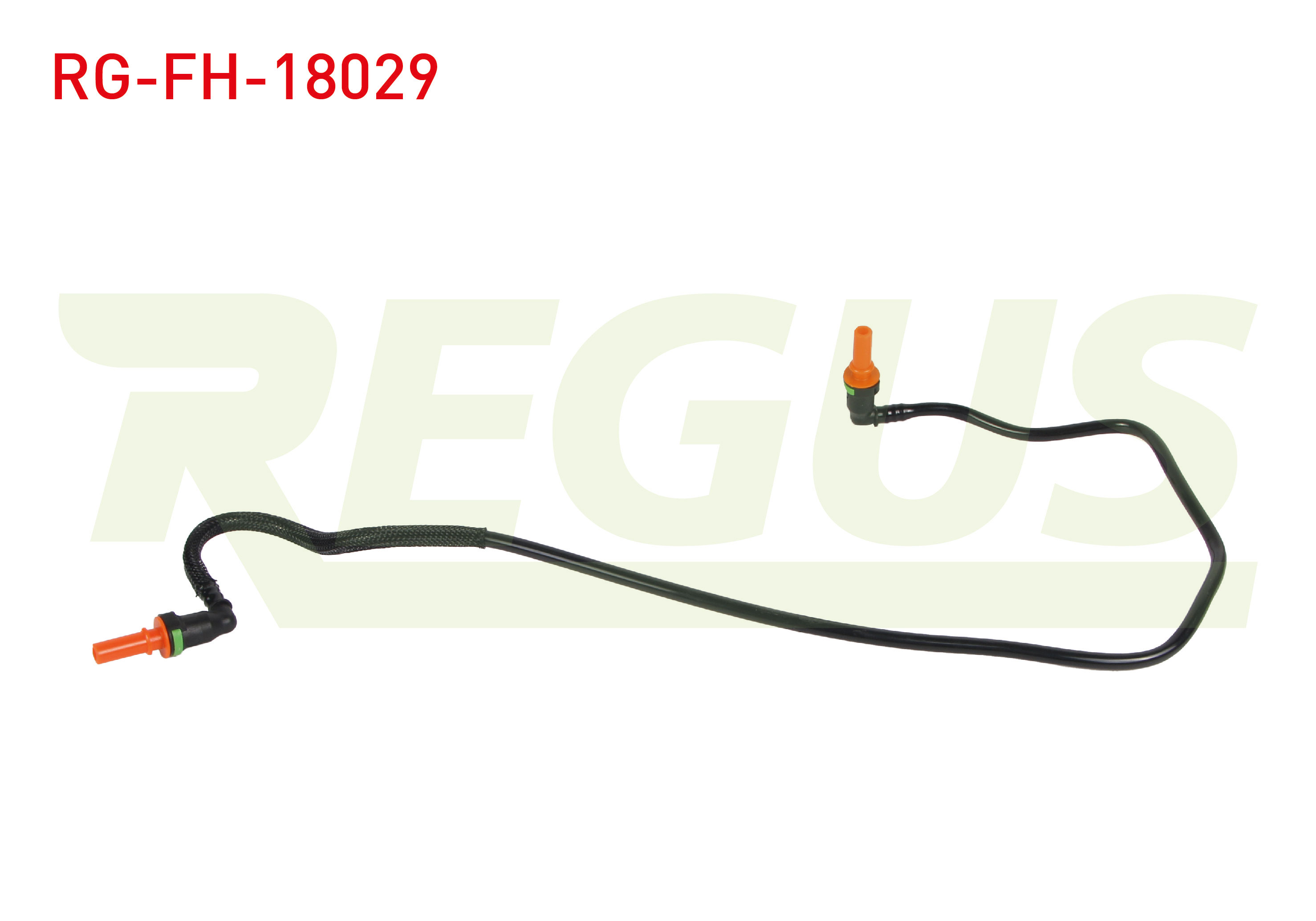 REGUS 