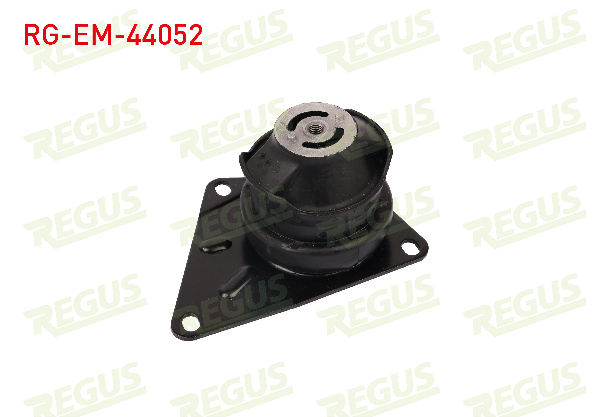 REGUS 21218
