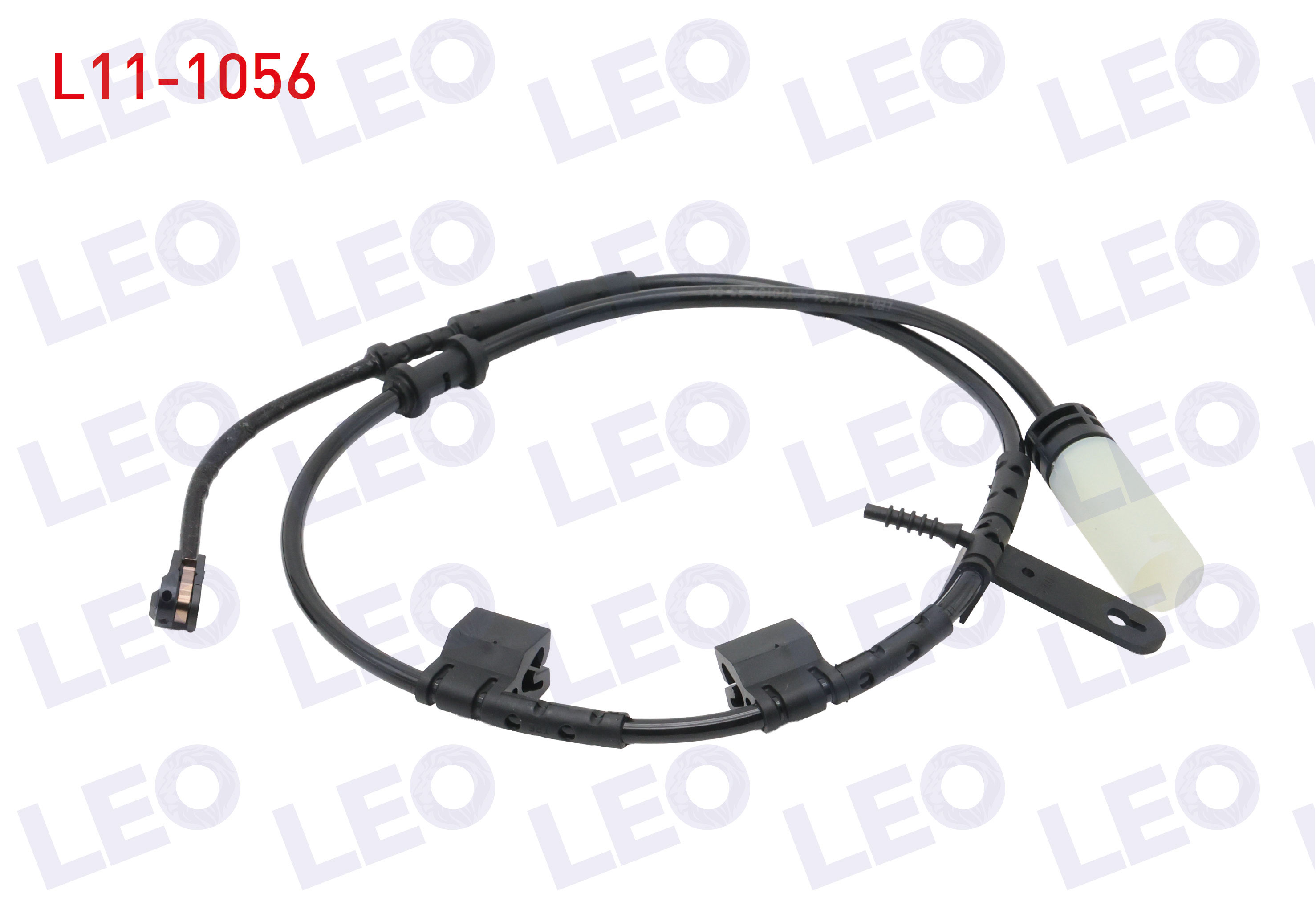 LEO 