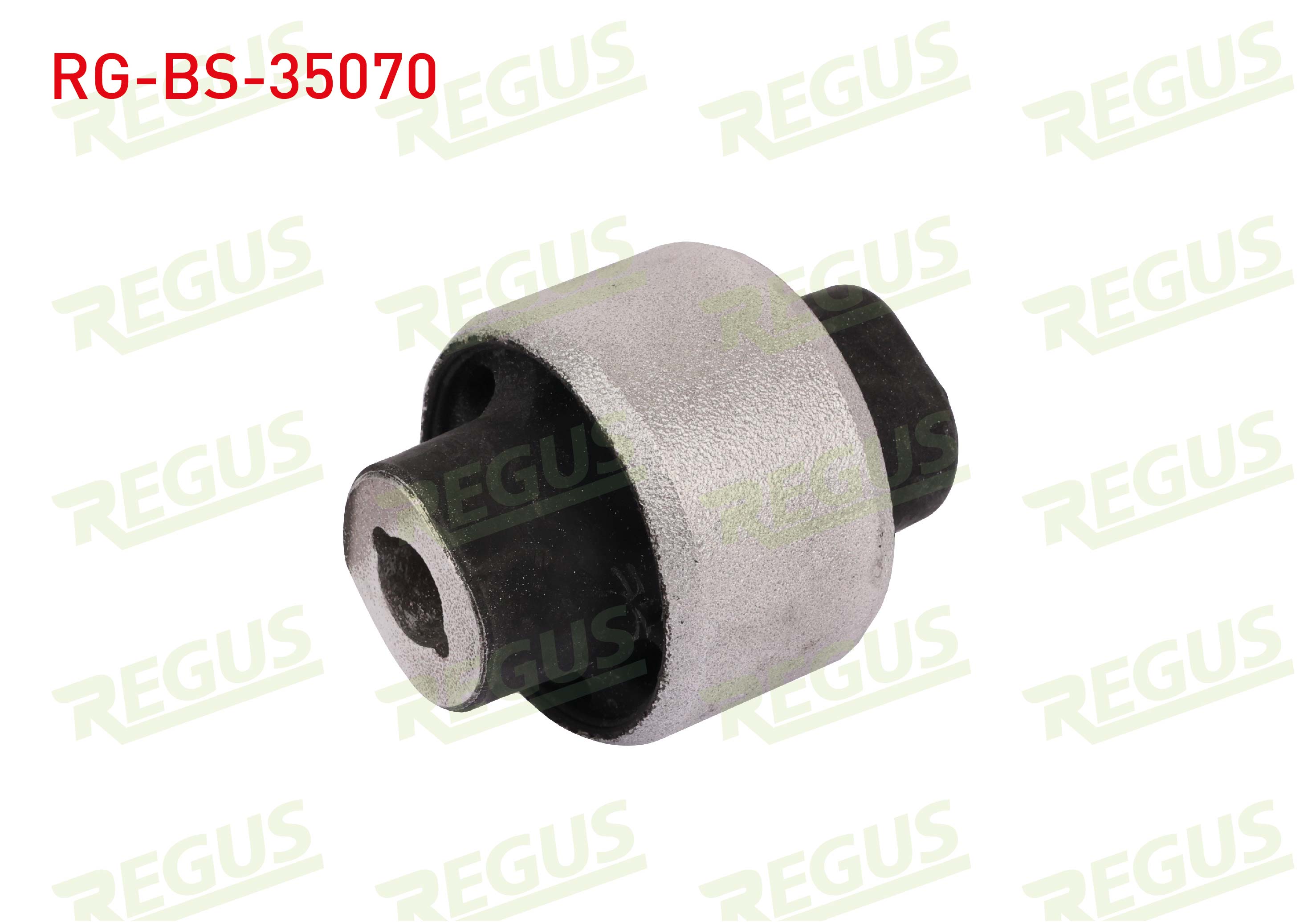 REGUS 57-10183
