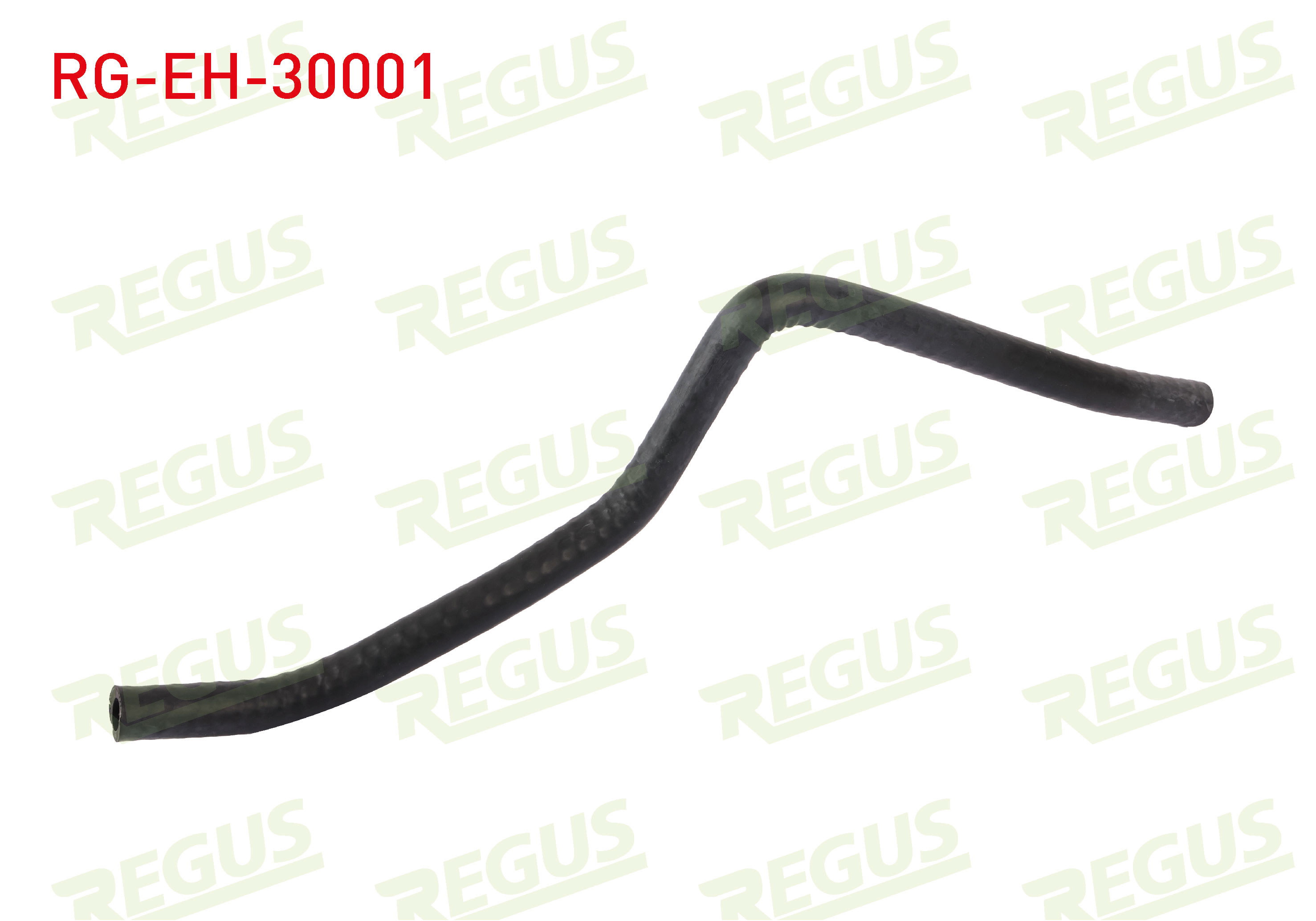 REGUS 18604