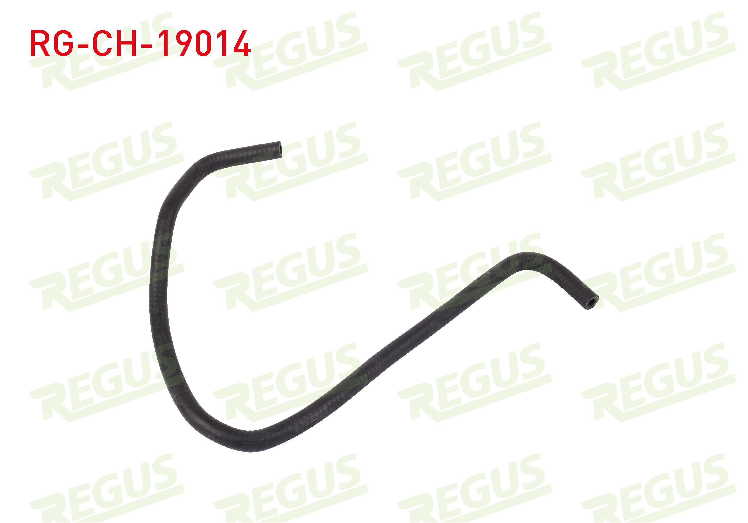 REGUS 