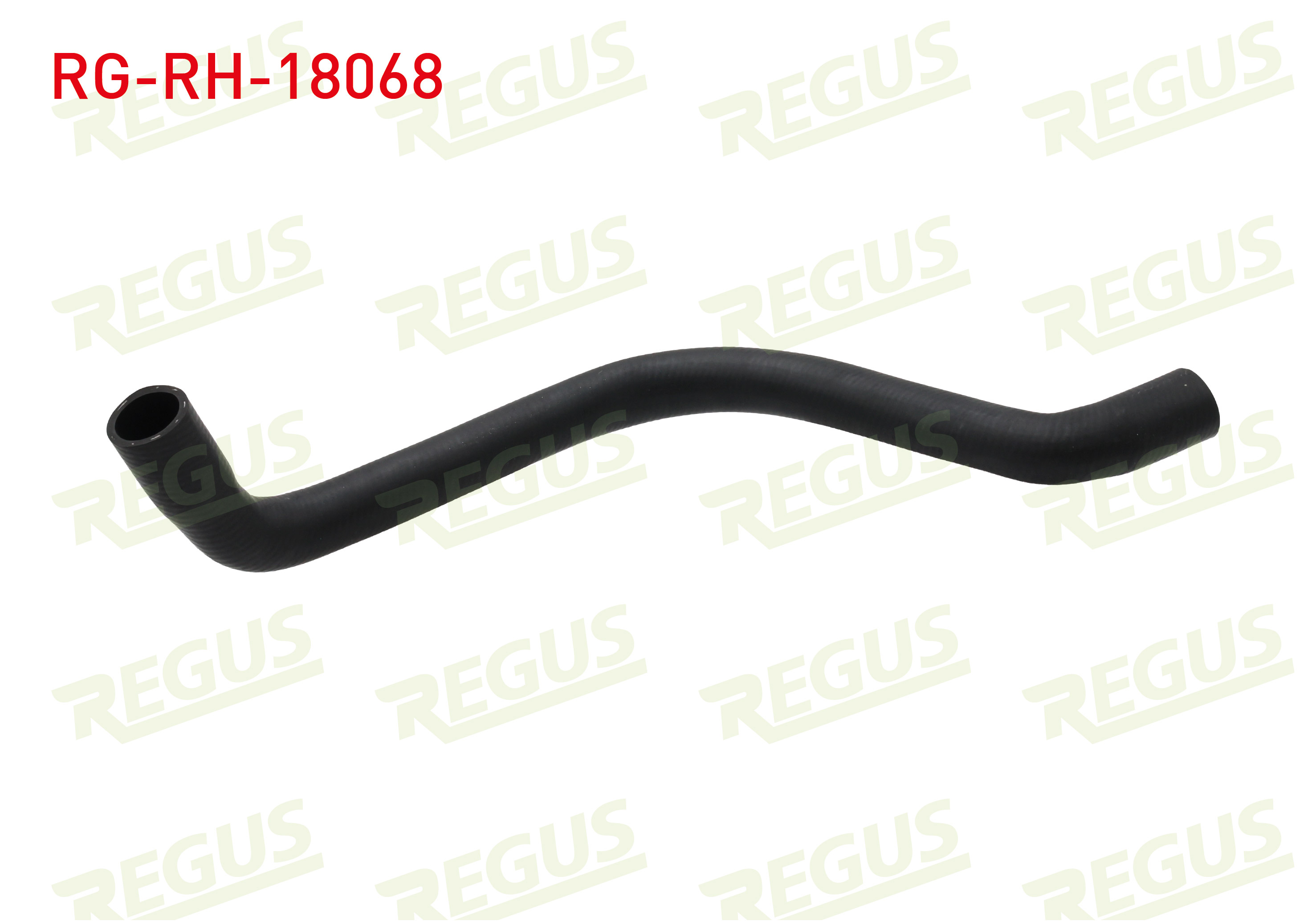 REGUS 14202