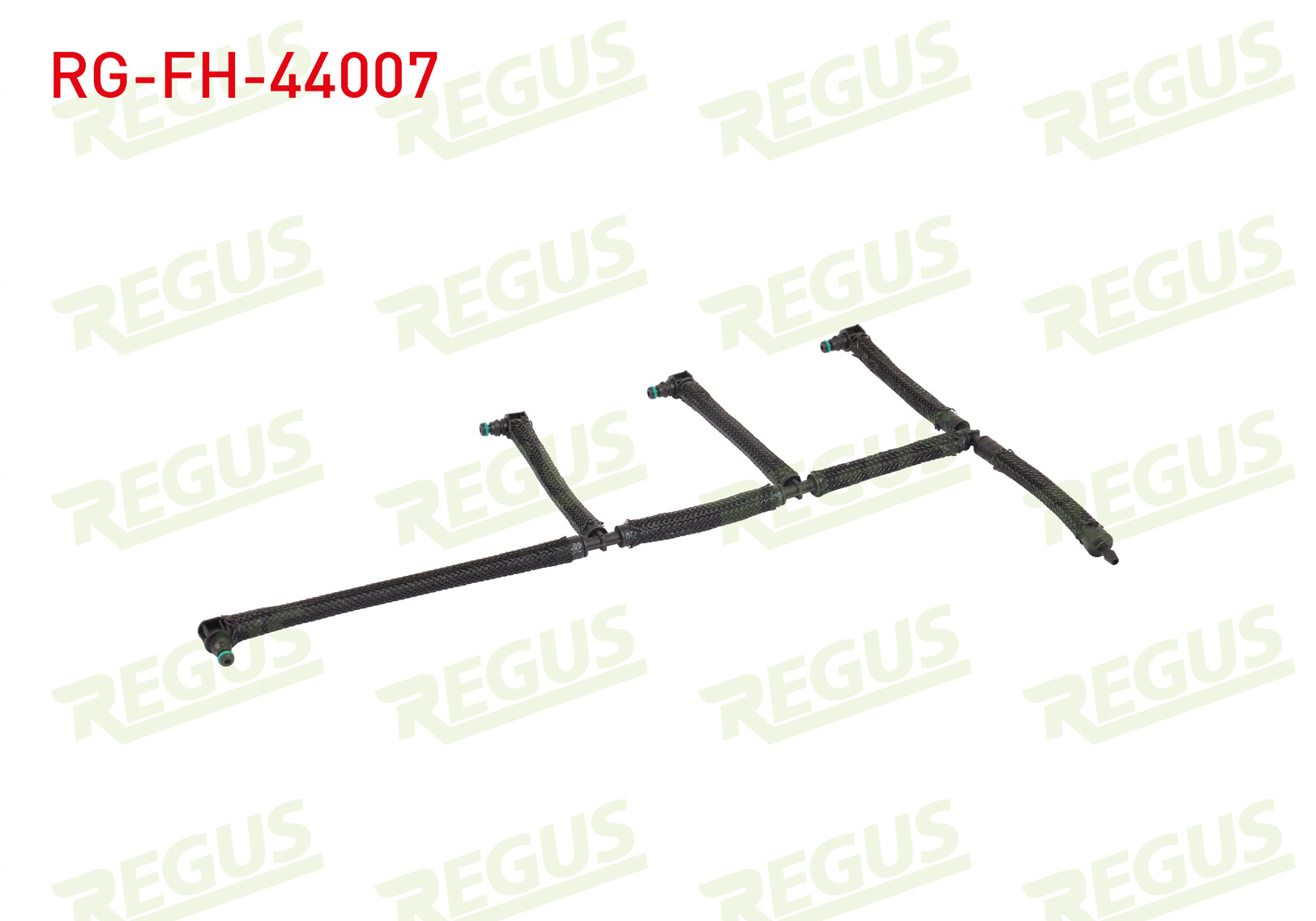 REGUS 