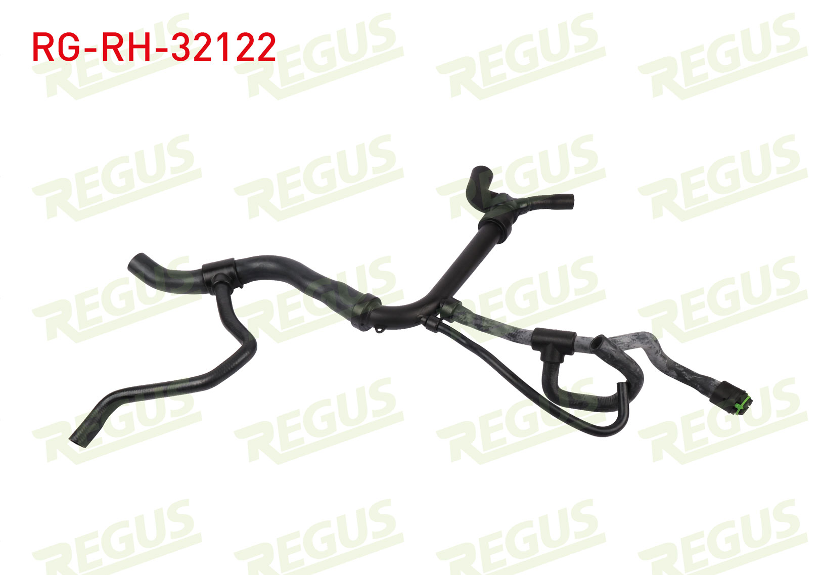 REGUS 21531