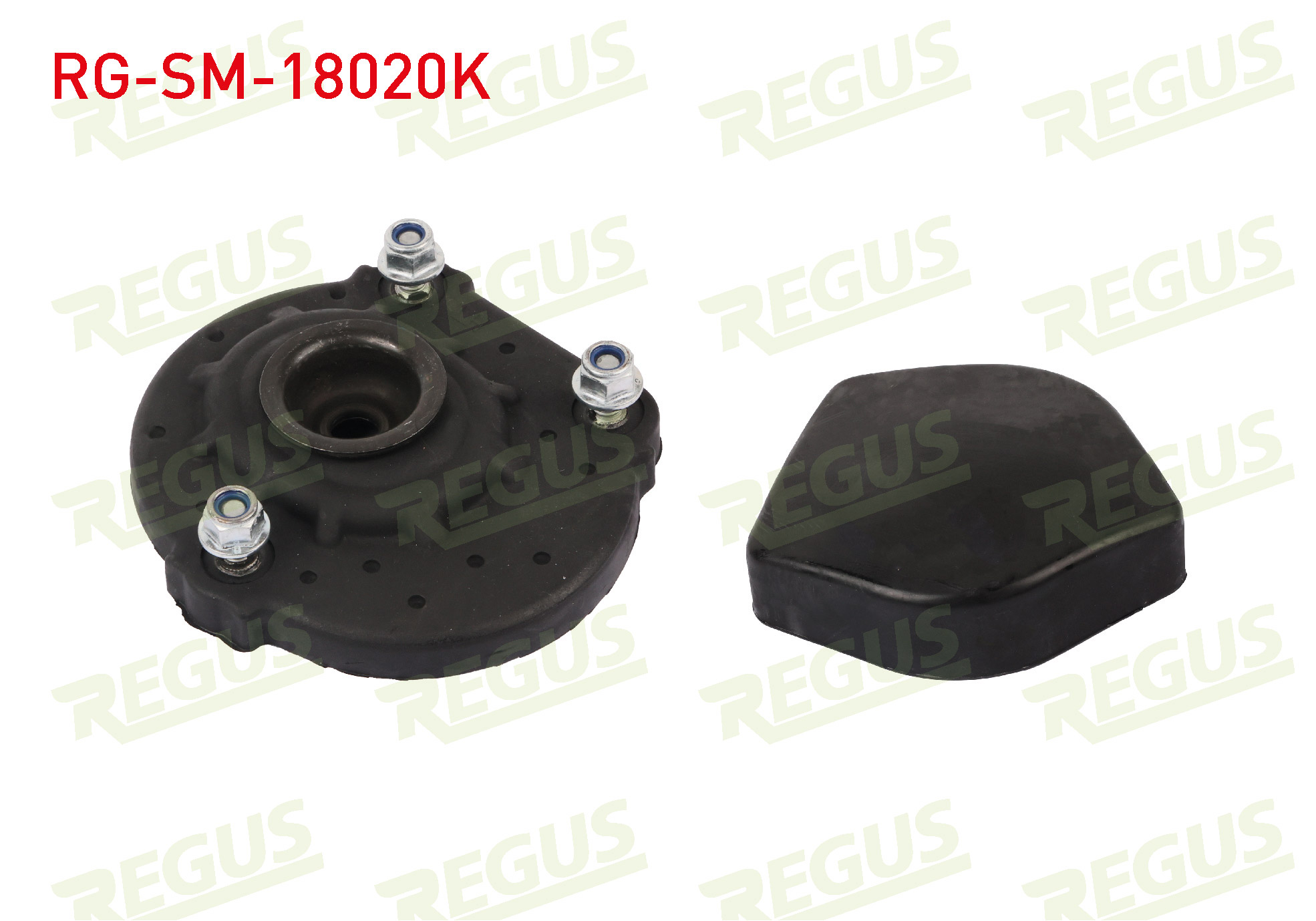 REGUS 63-01948
