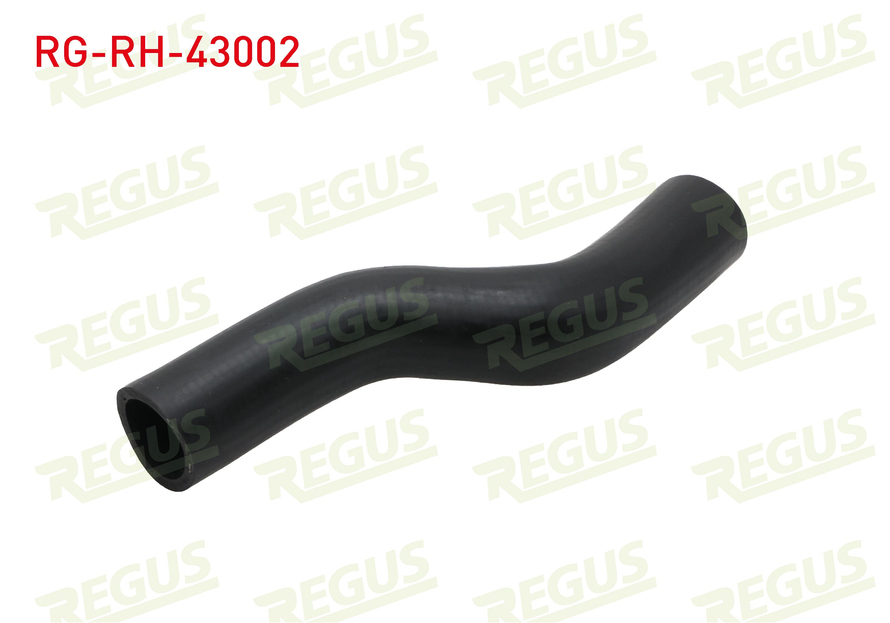 REGUS 