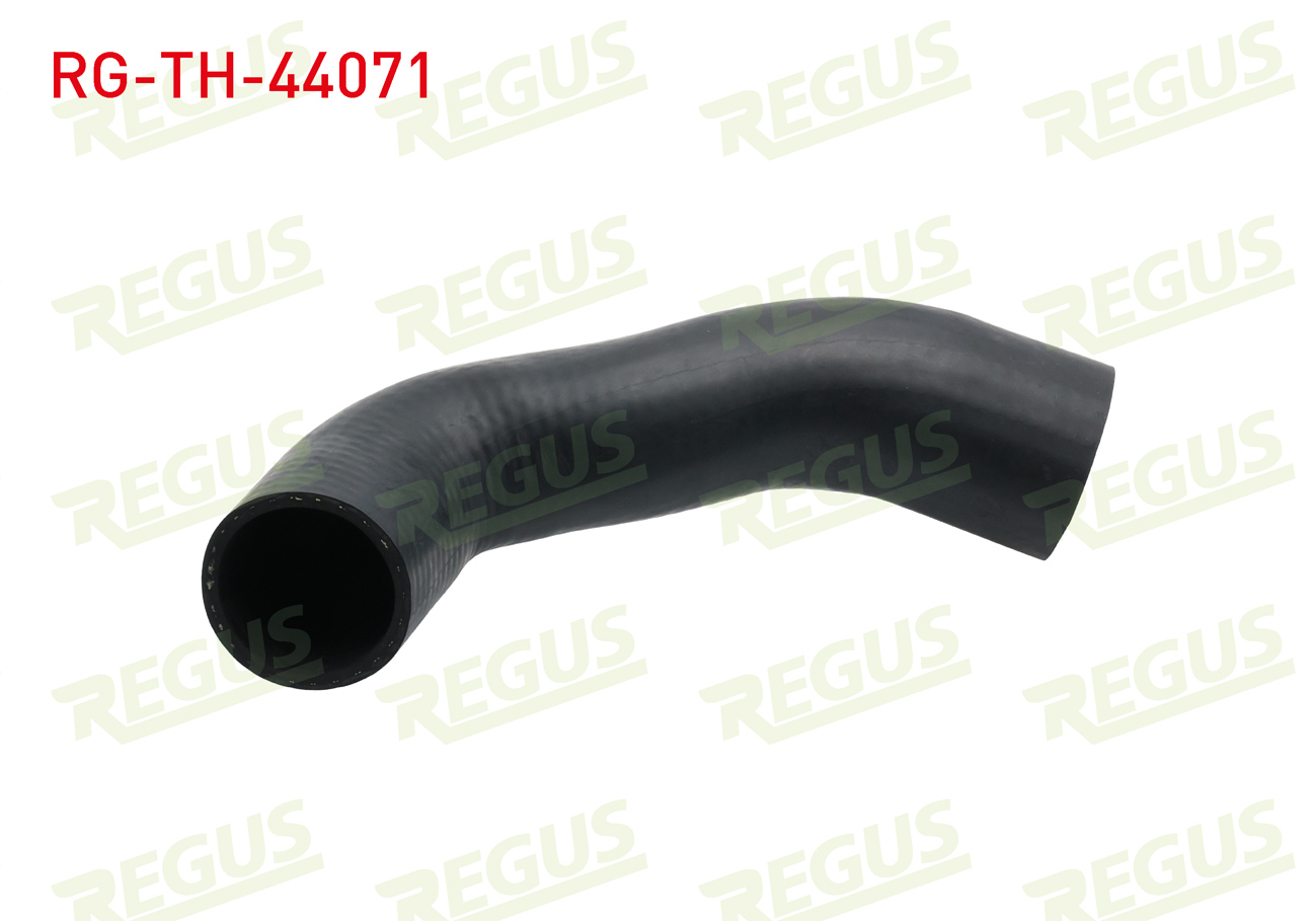 REGUS 