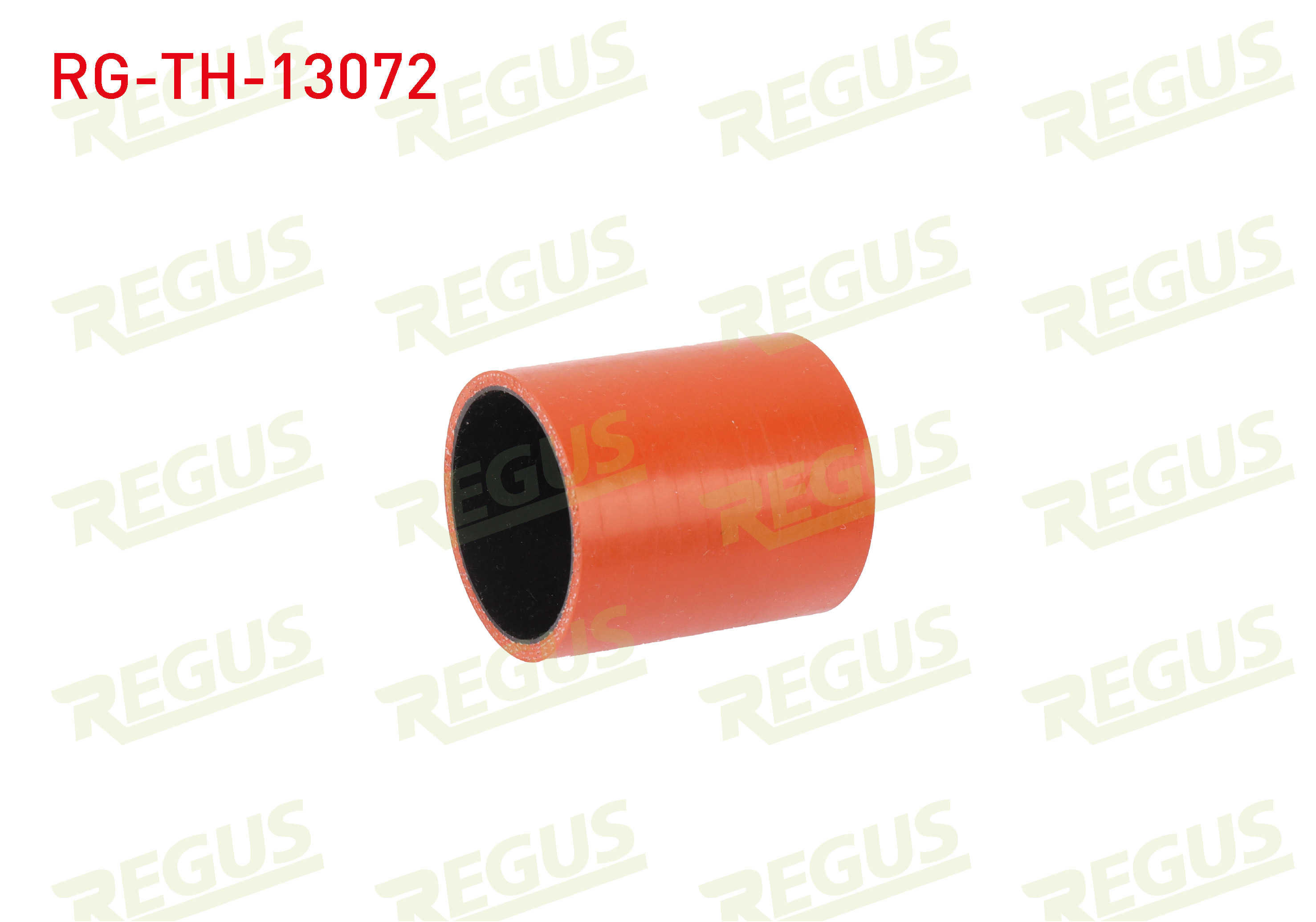 REGUS 28416