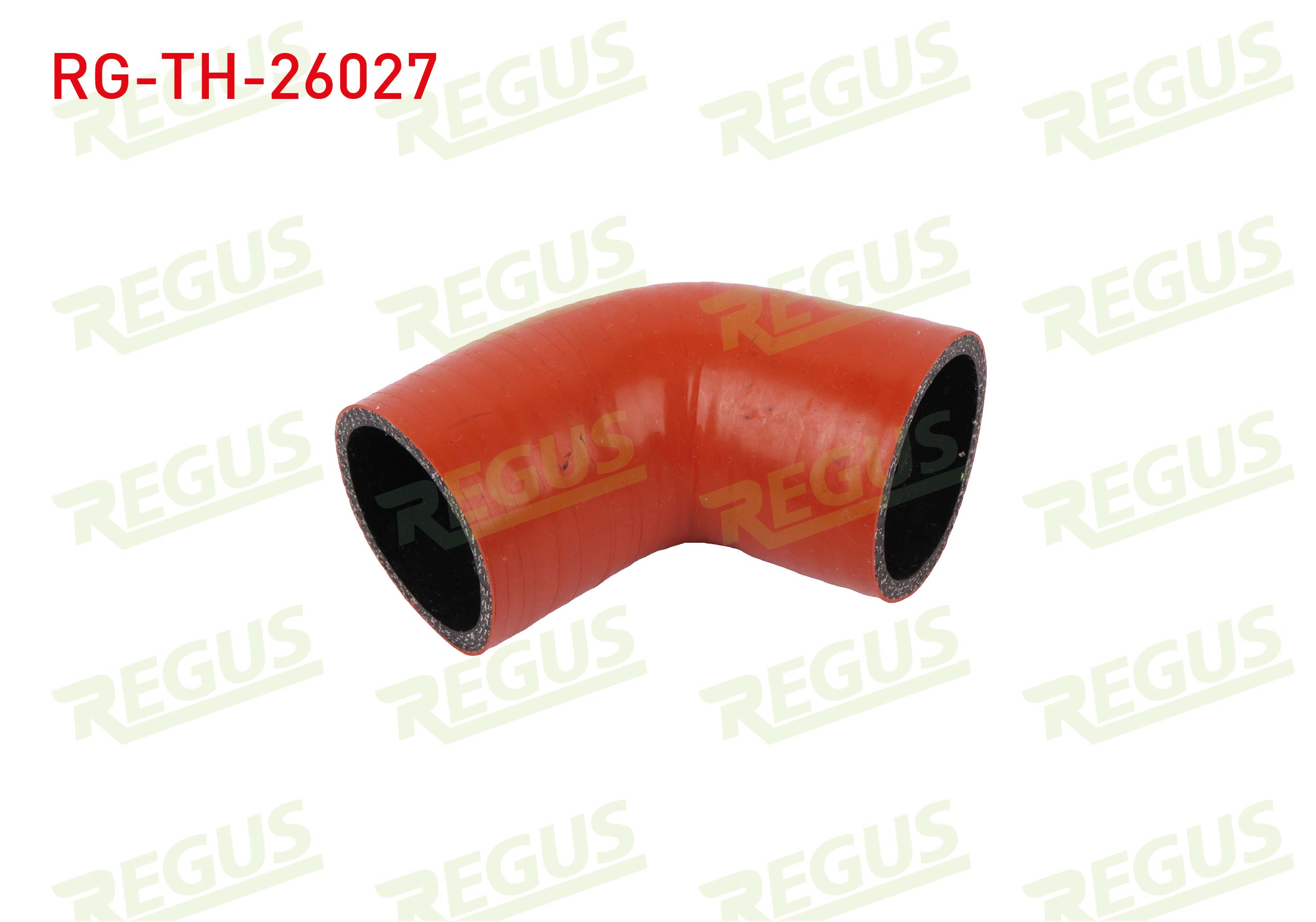 REGUS 