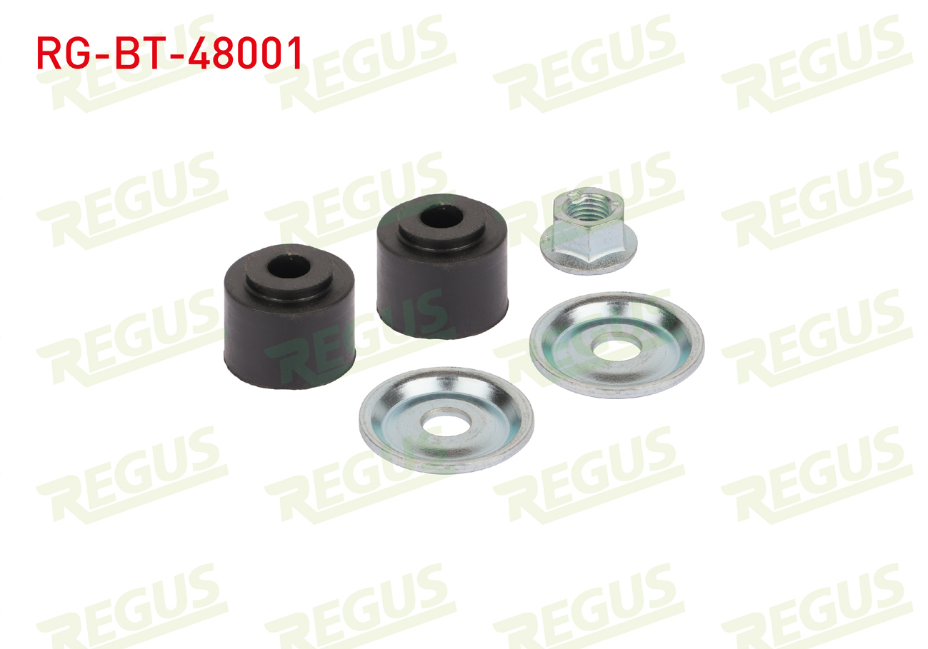REGUS 65-13547