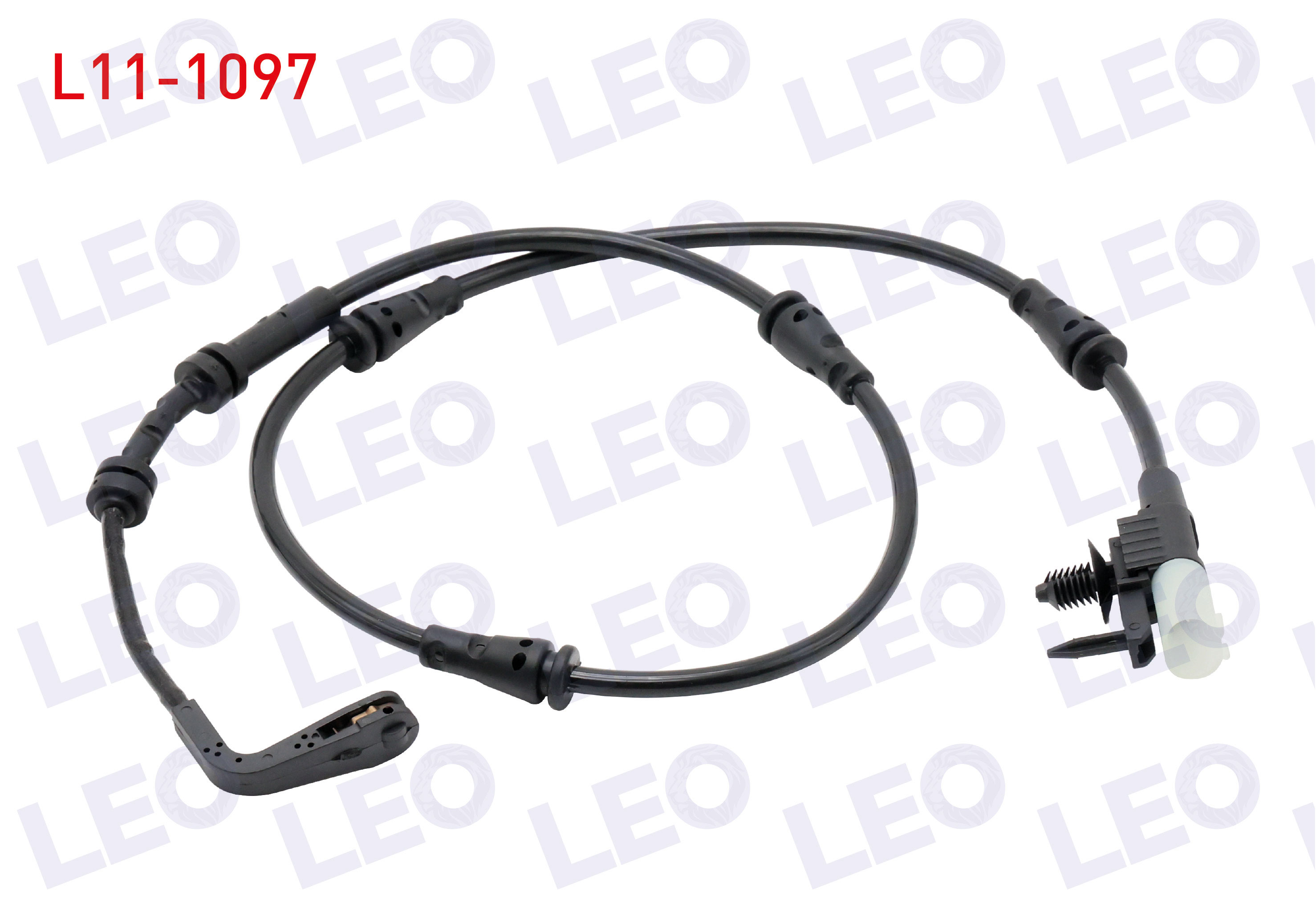 LEO 