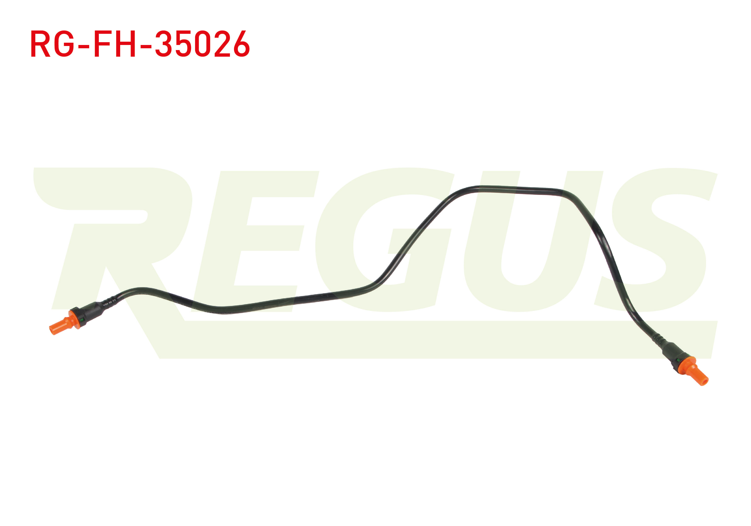 REGUS 11810