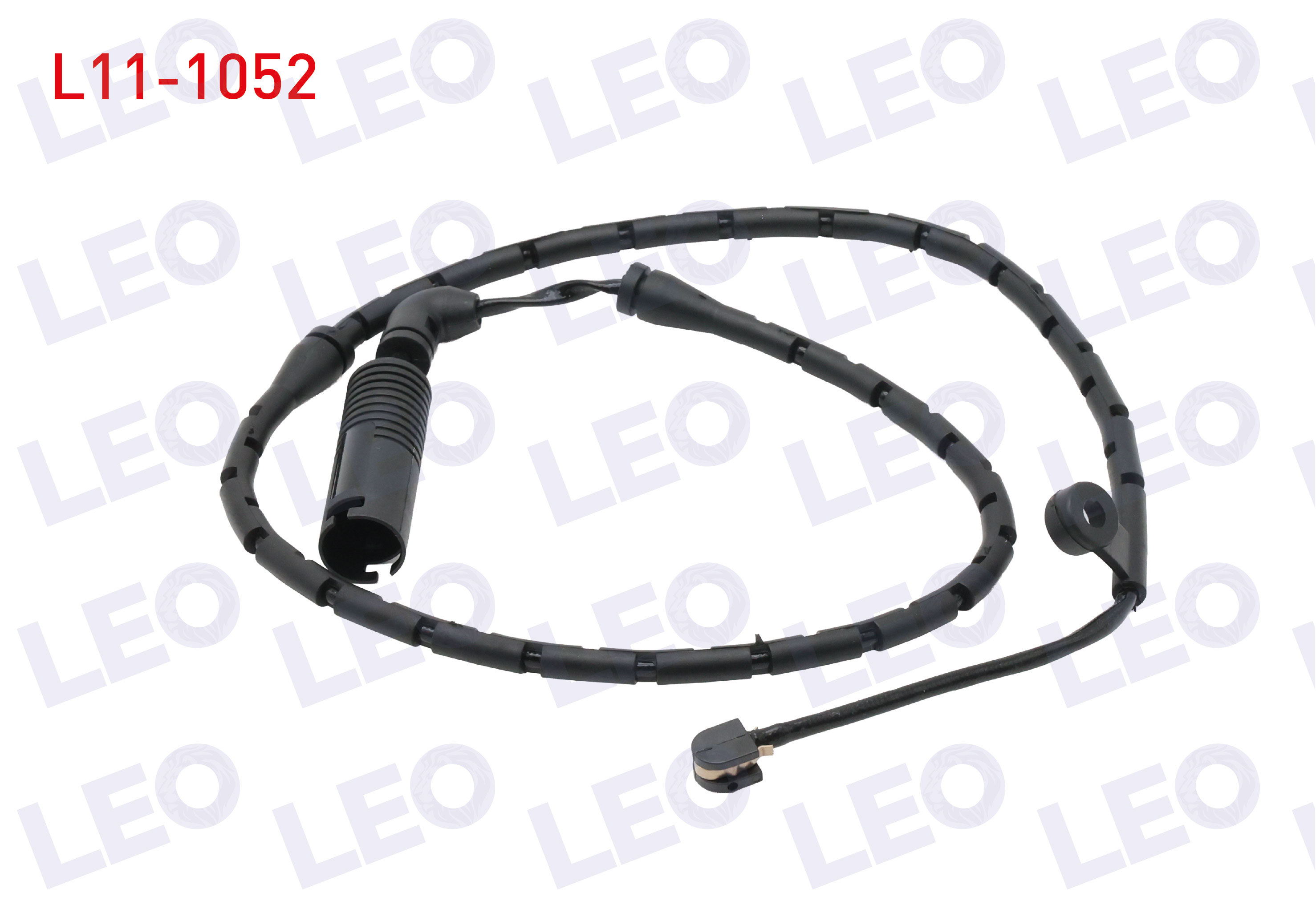 LEO 
