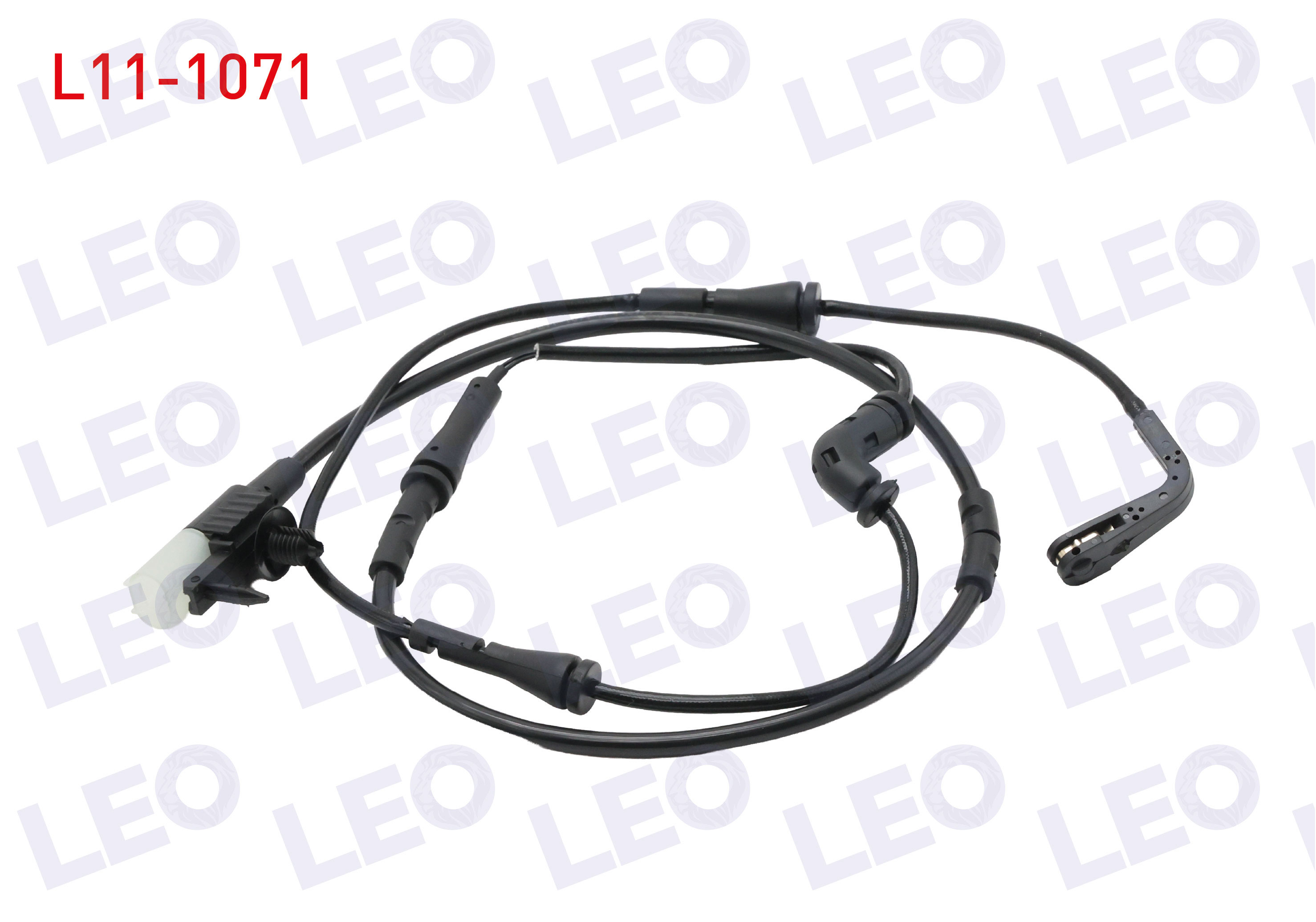 LEO 