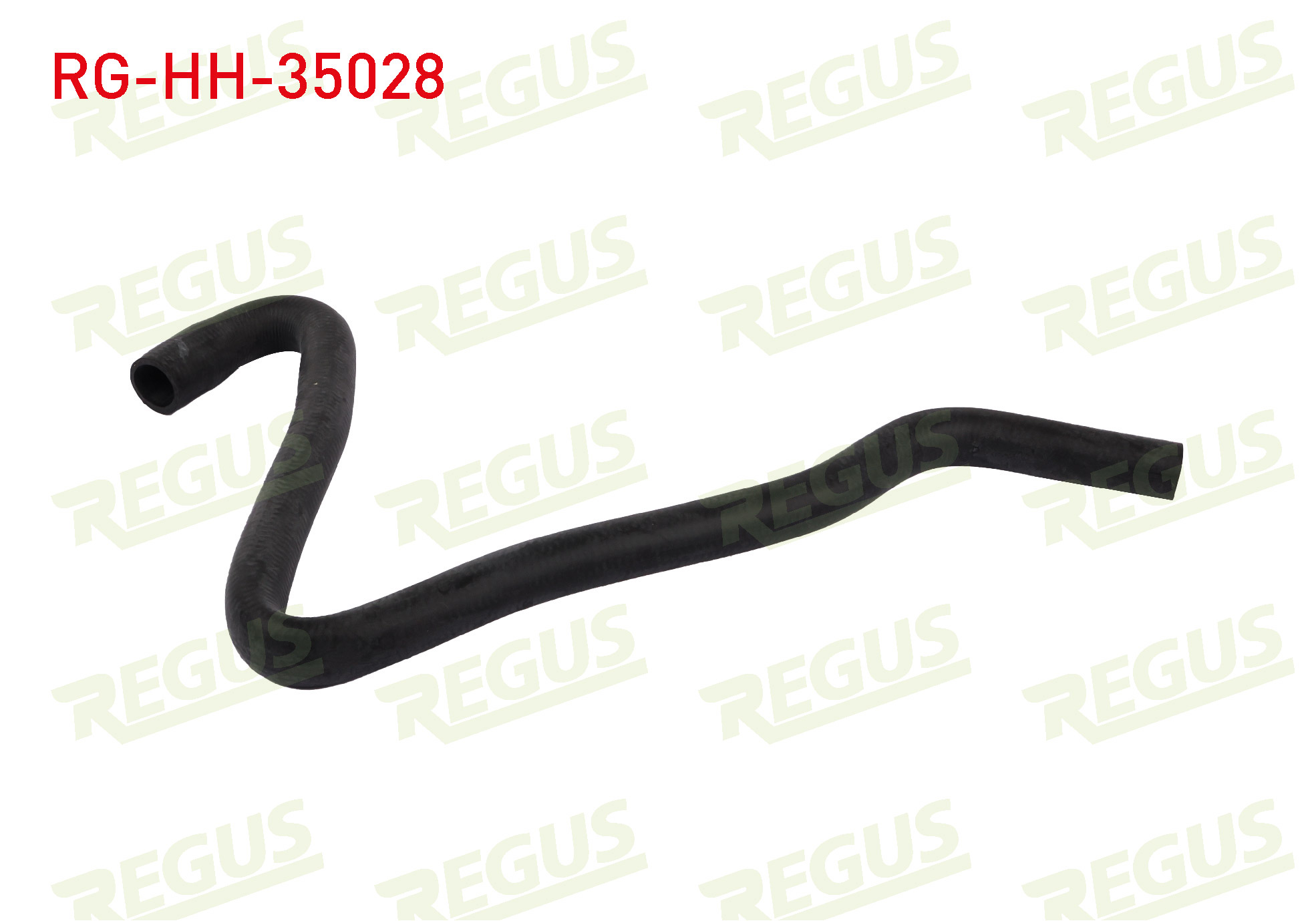 REGUS 11251
