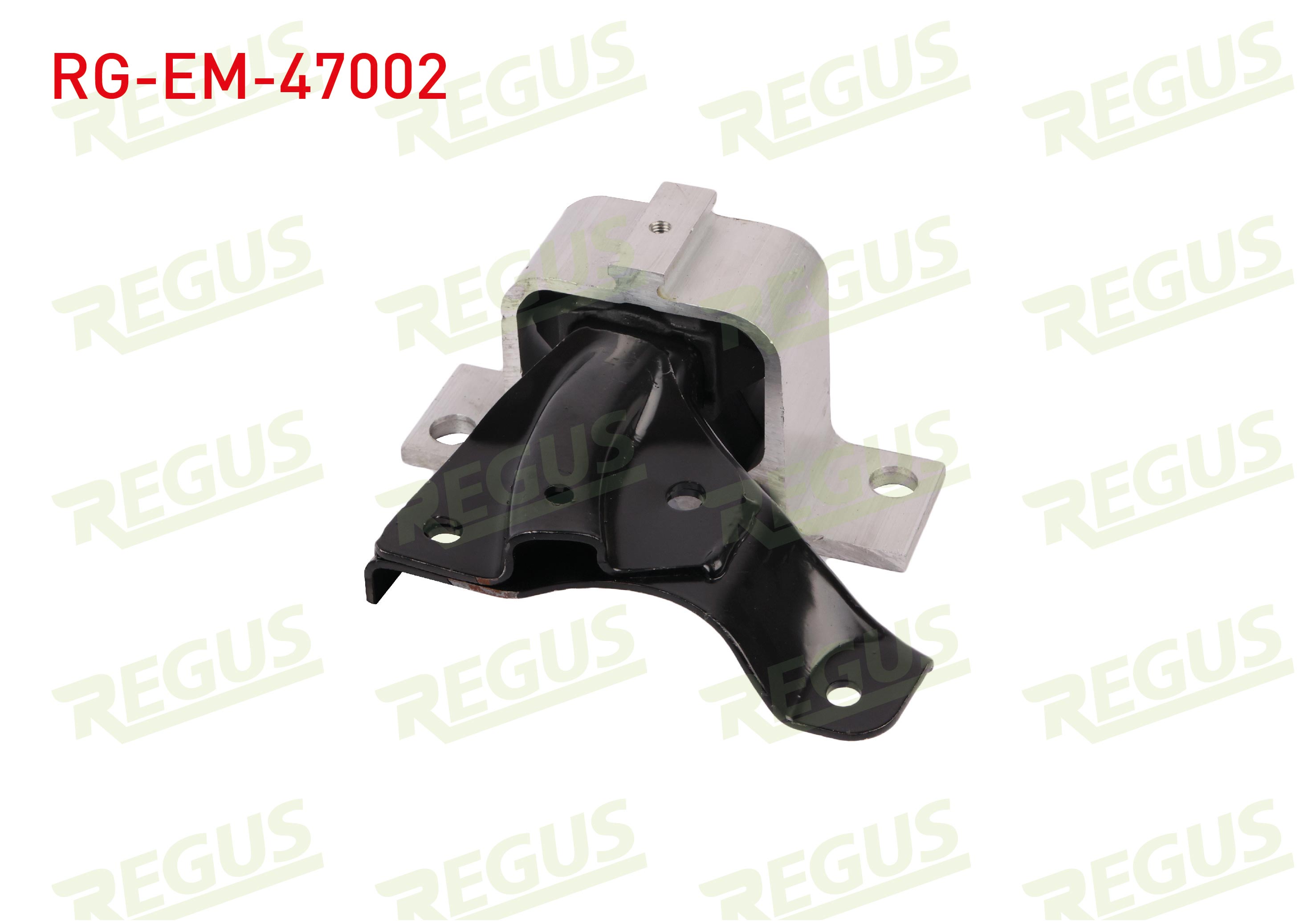 REGUS 