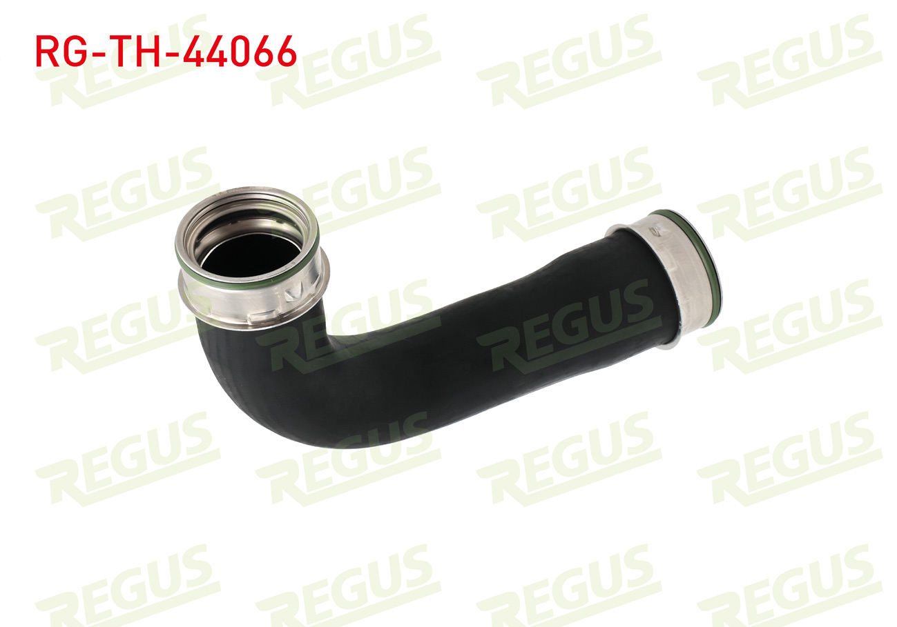 REGUS 