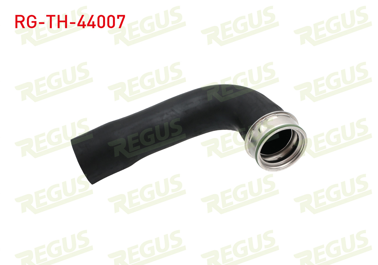 REGUS 