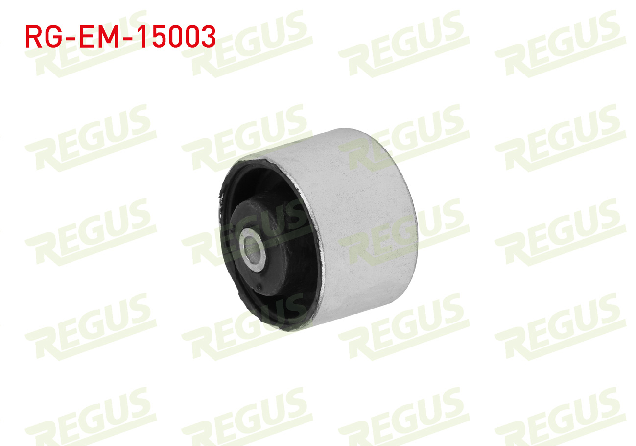 REGUS 30079