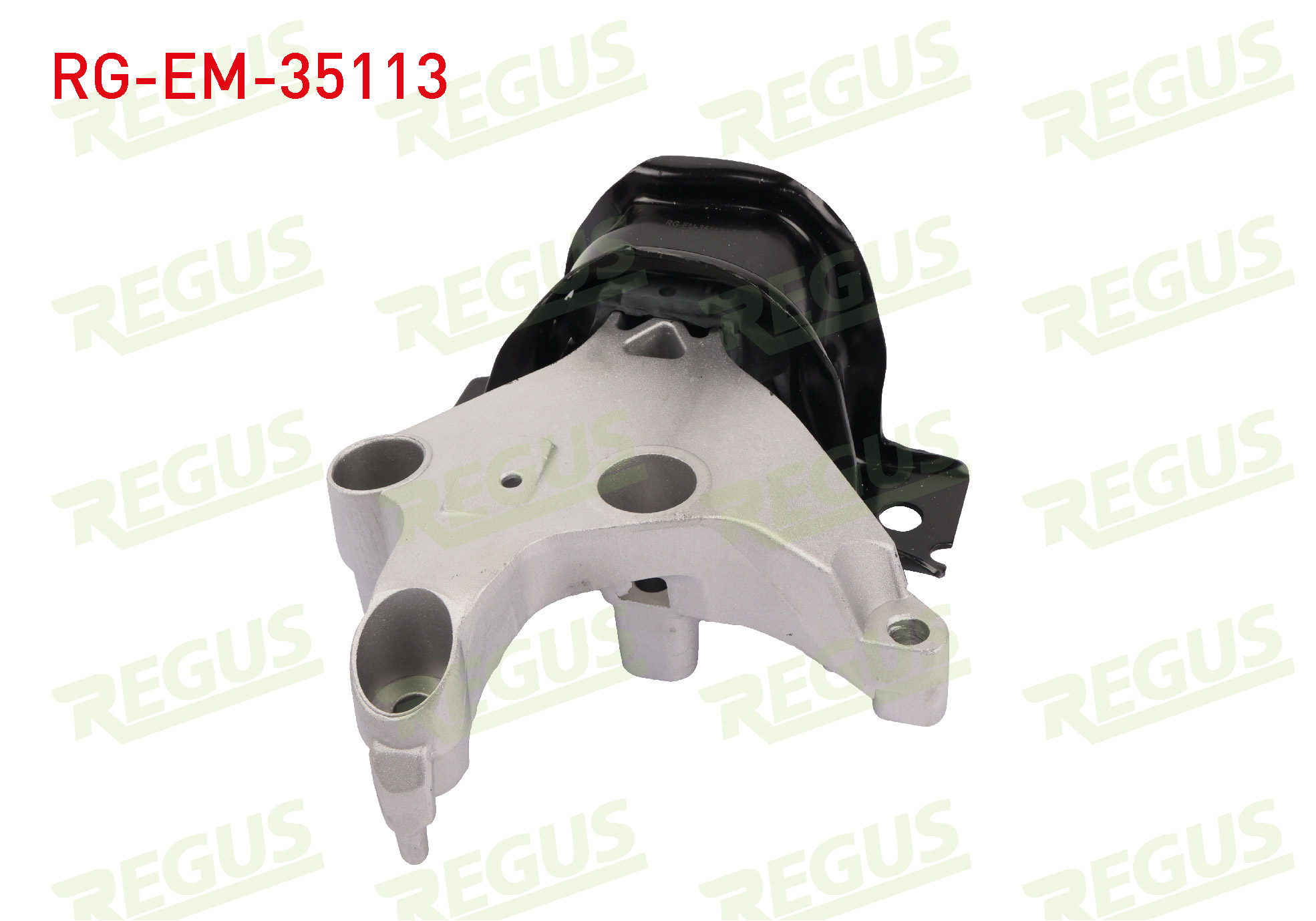 REGUS 45808