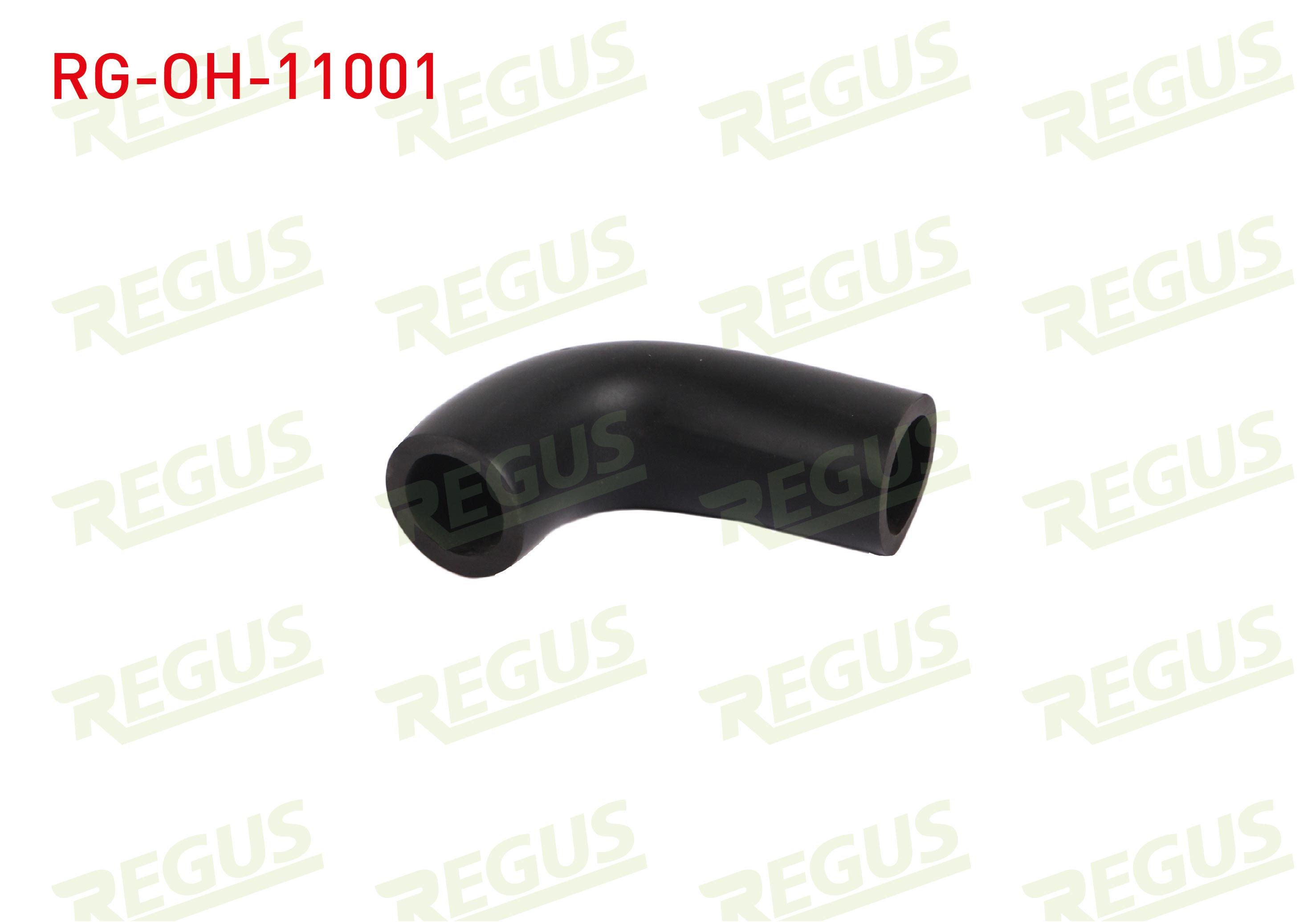 REGUS 17612