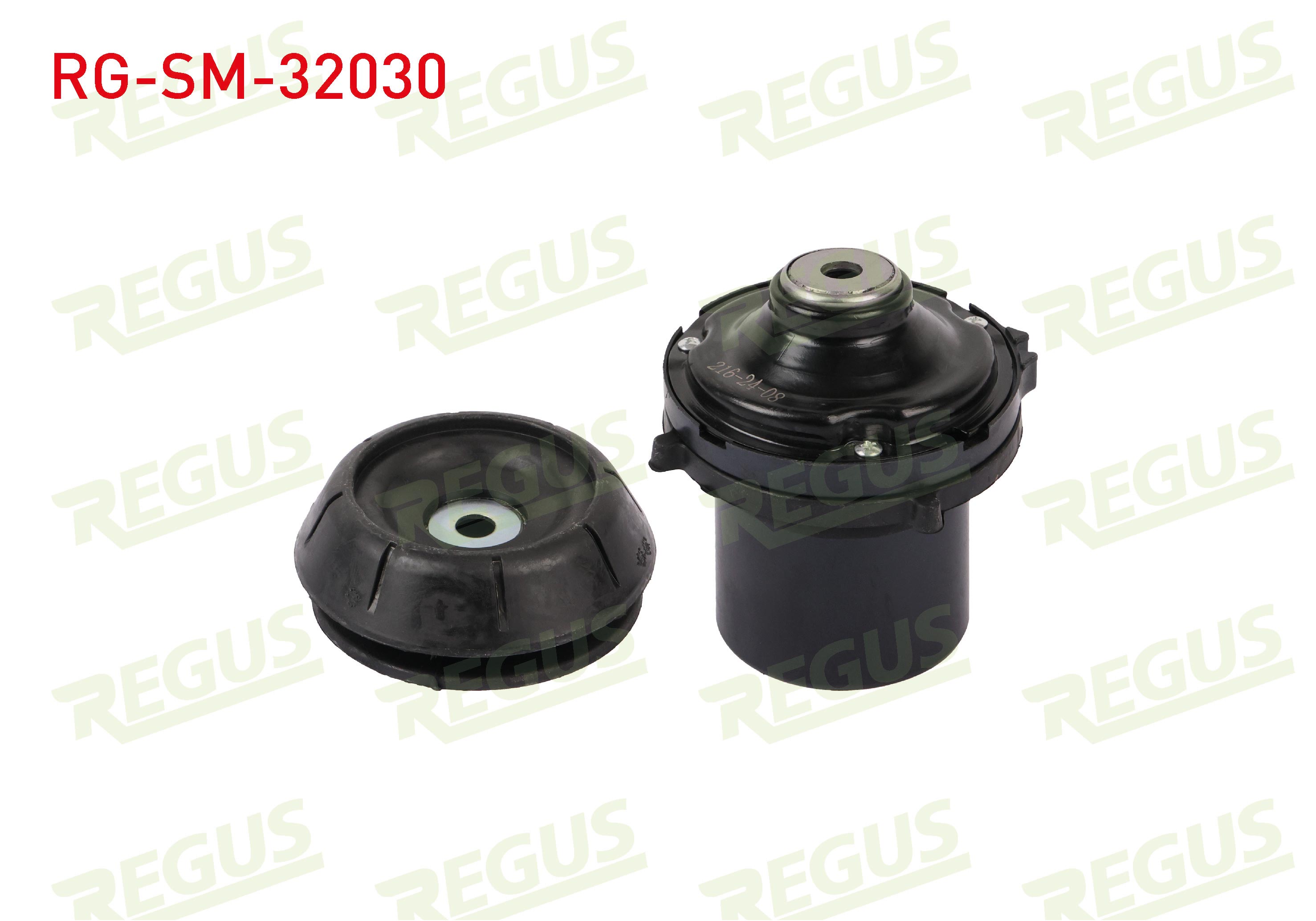 REGUS 63-13173