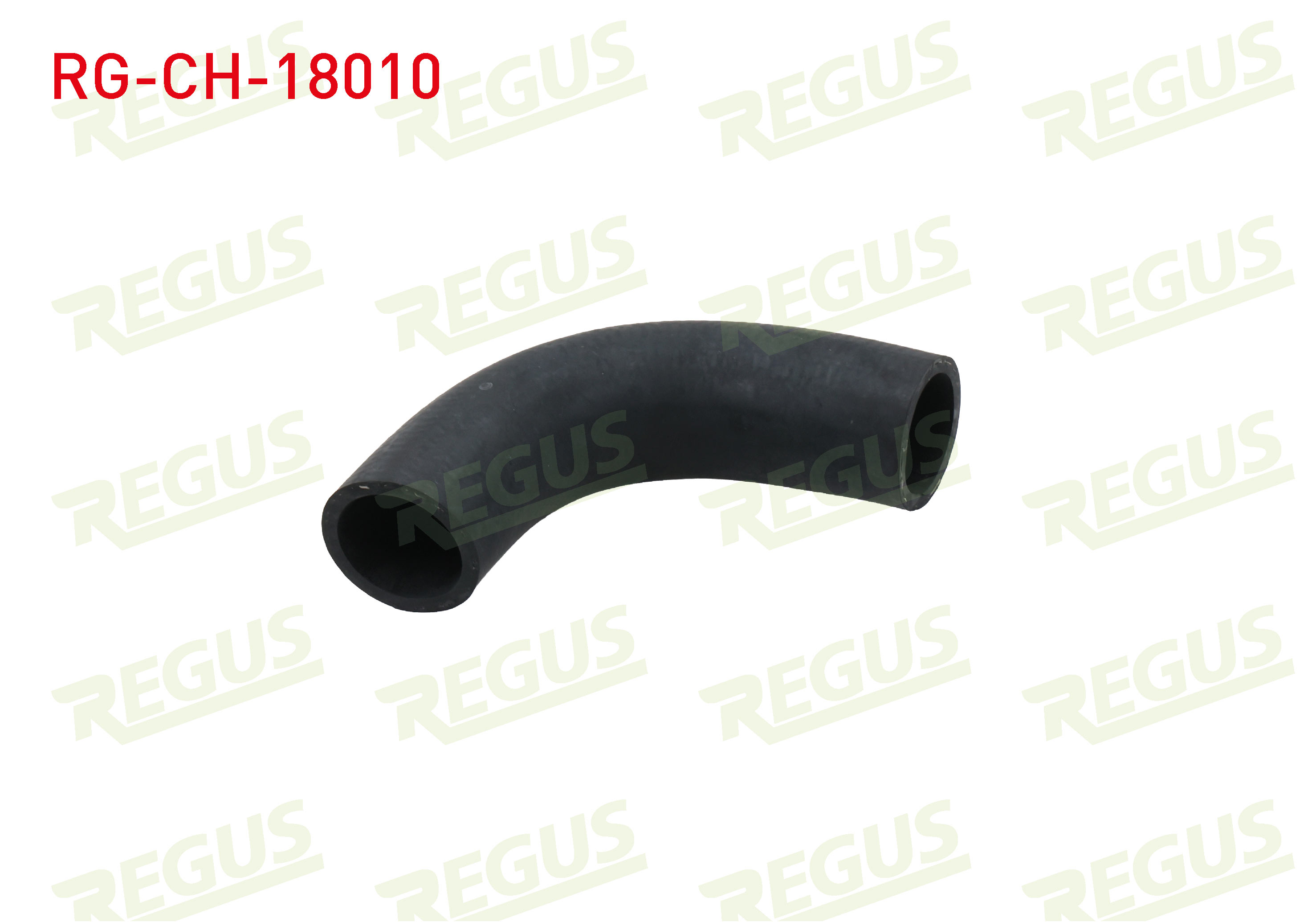 REGUS 15007