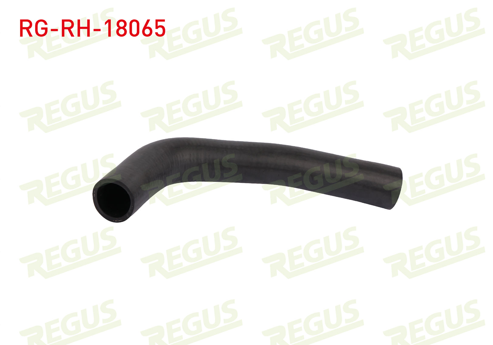 REGUS 14002 | RADYATOR HORTUMU ALT M.131 / DKS